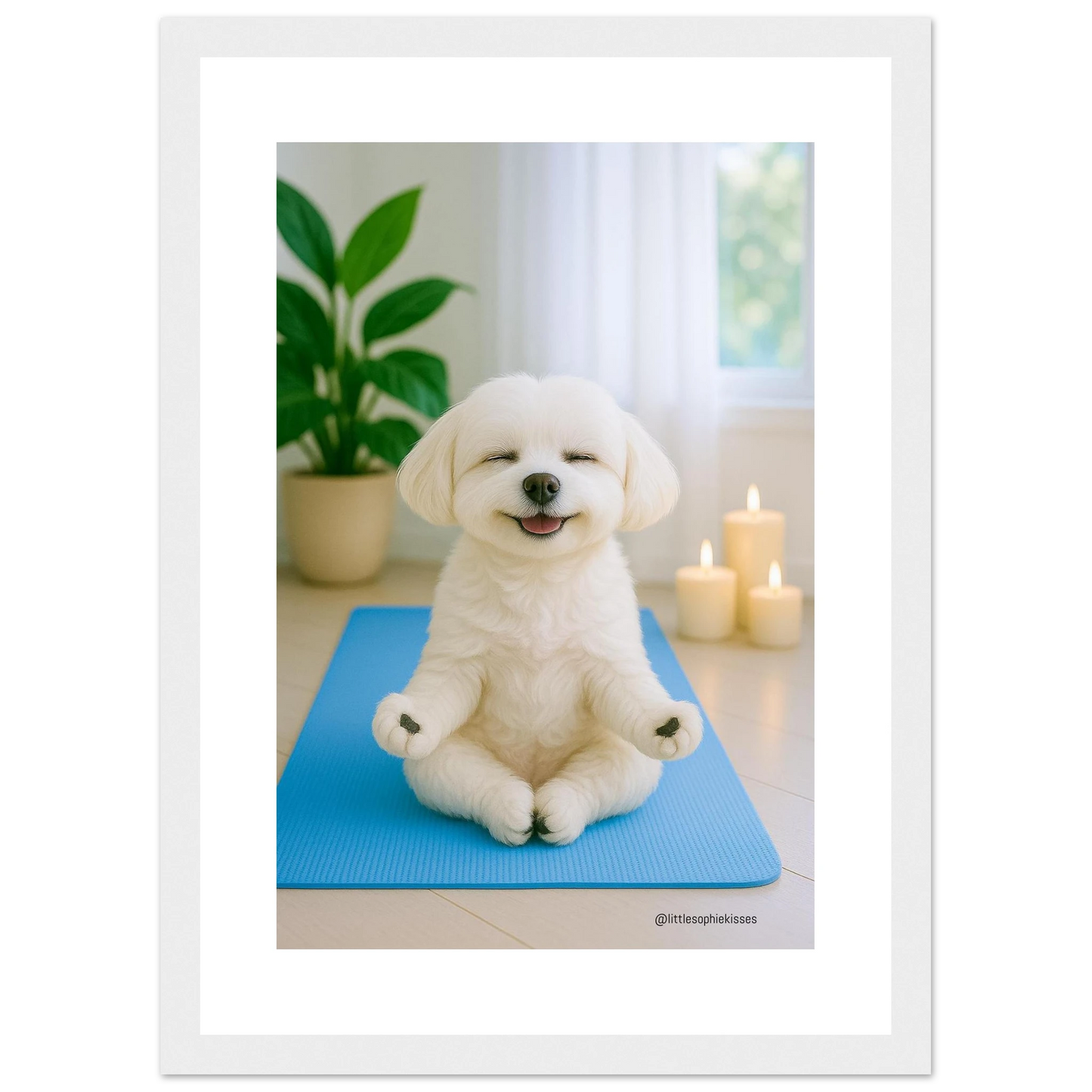 4999c23b-e338-47ae-aca0-2e7e2f4e82a8