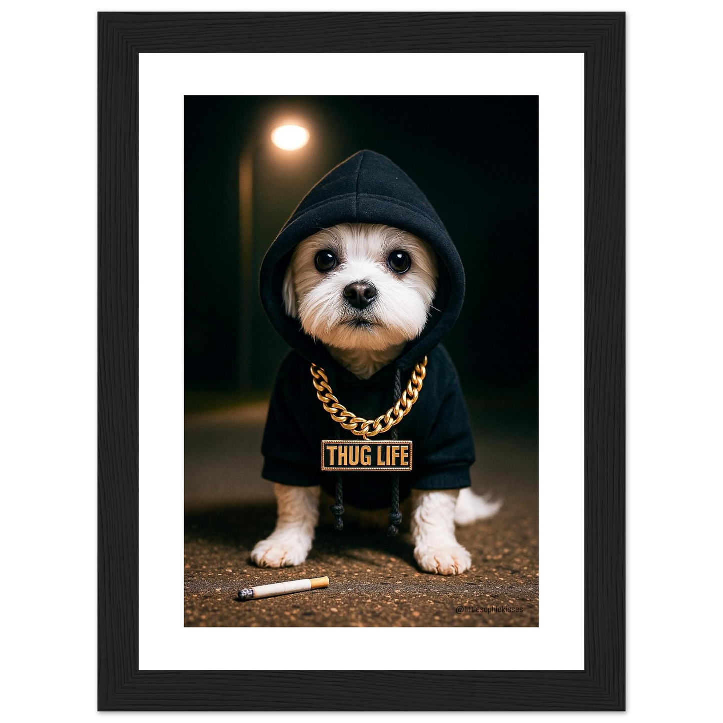 4dad874d-708d-498c-97eb-5e643252210f