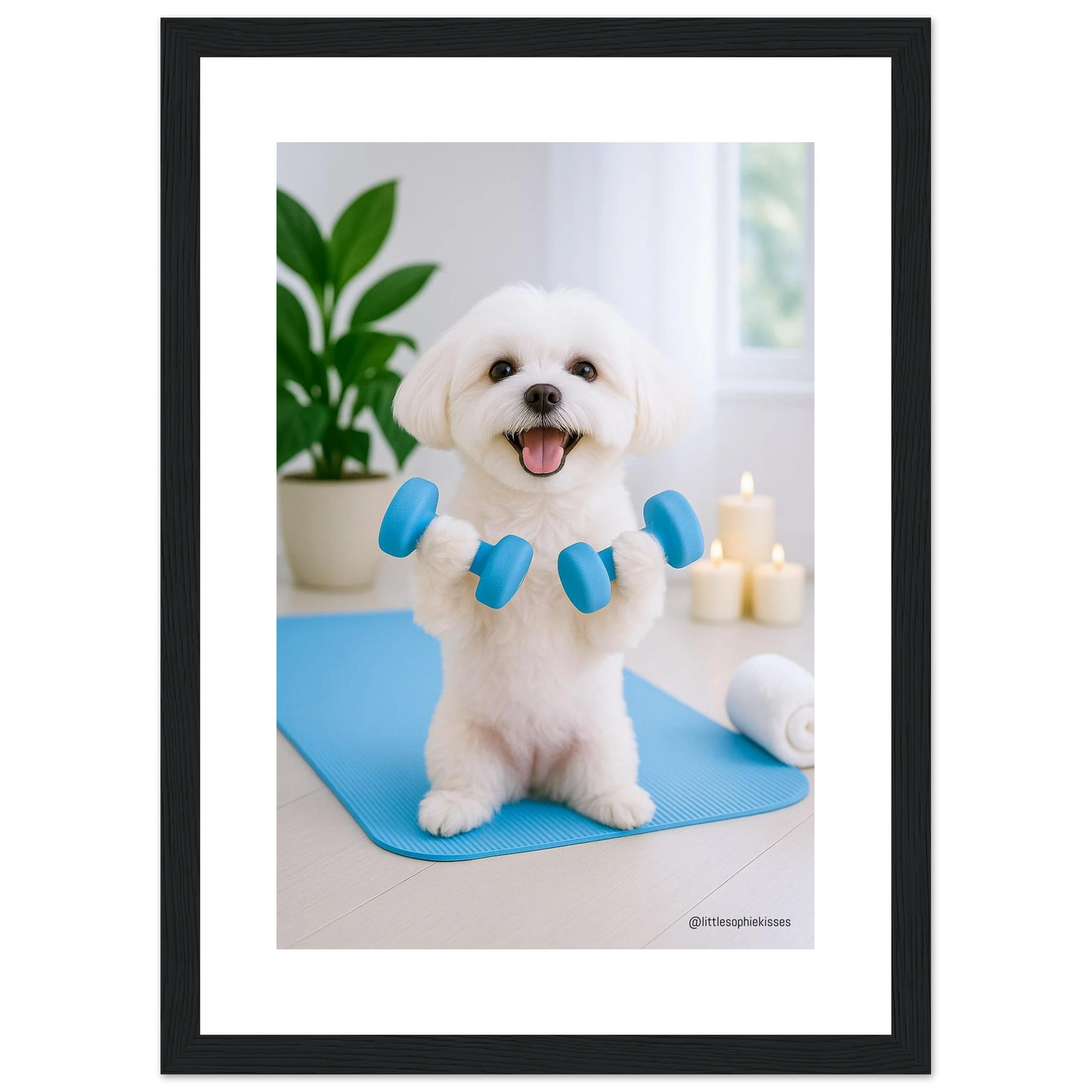 4ed5a097-0415-4259-ba38-9ab950dd7017