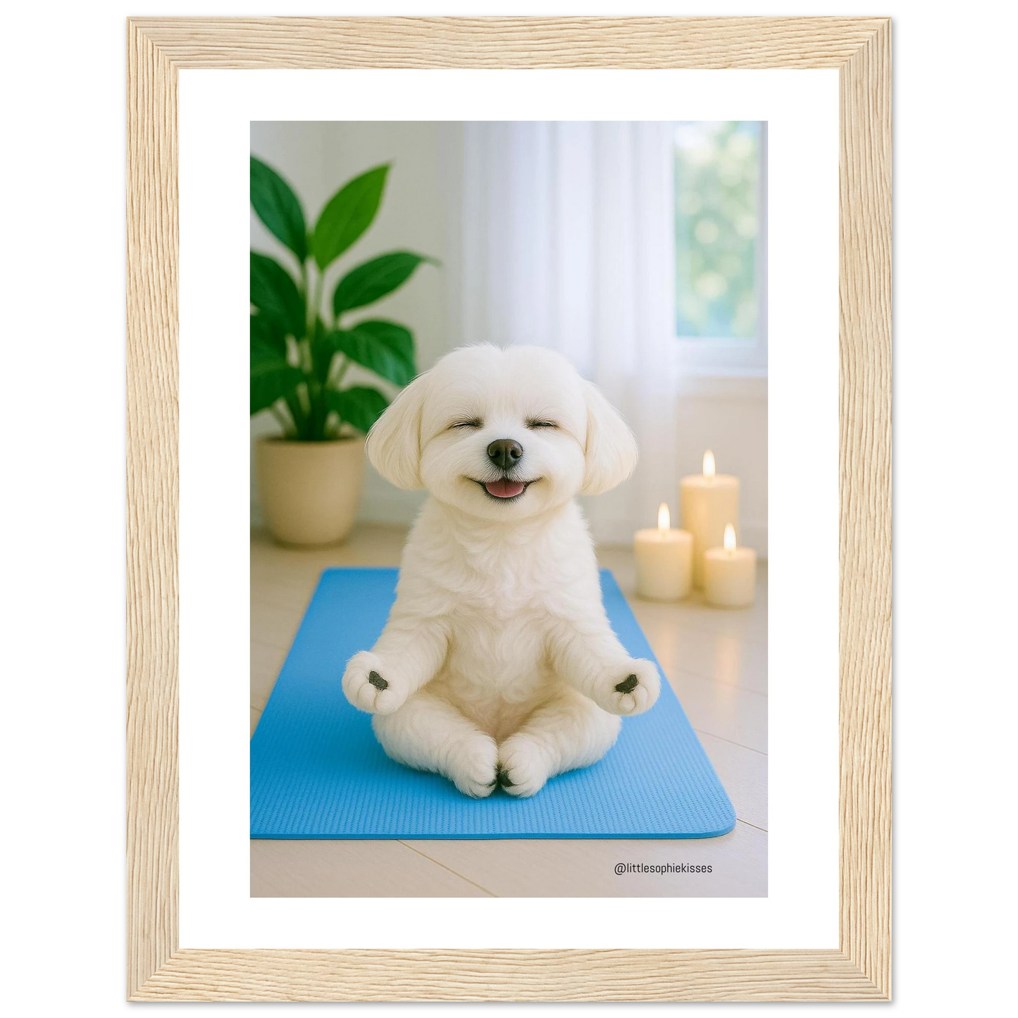 51801bae-a80c-4da2-9225-6618ebaf6c87