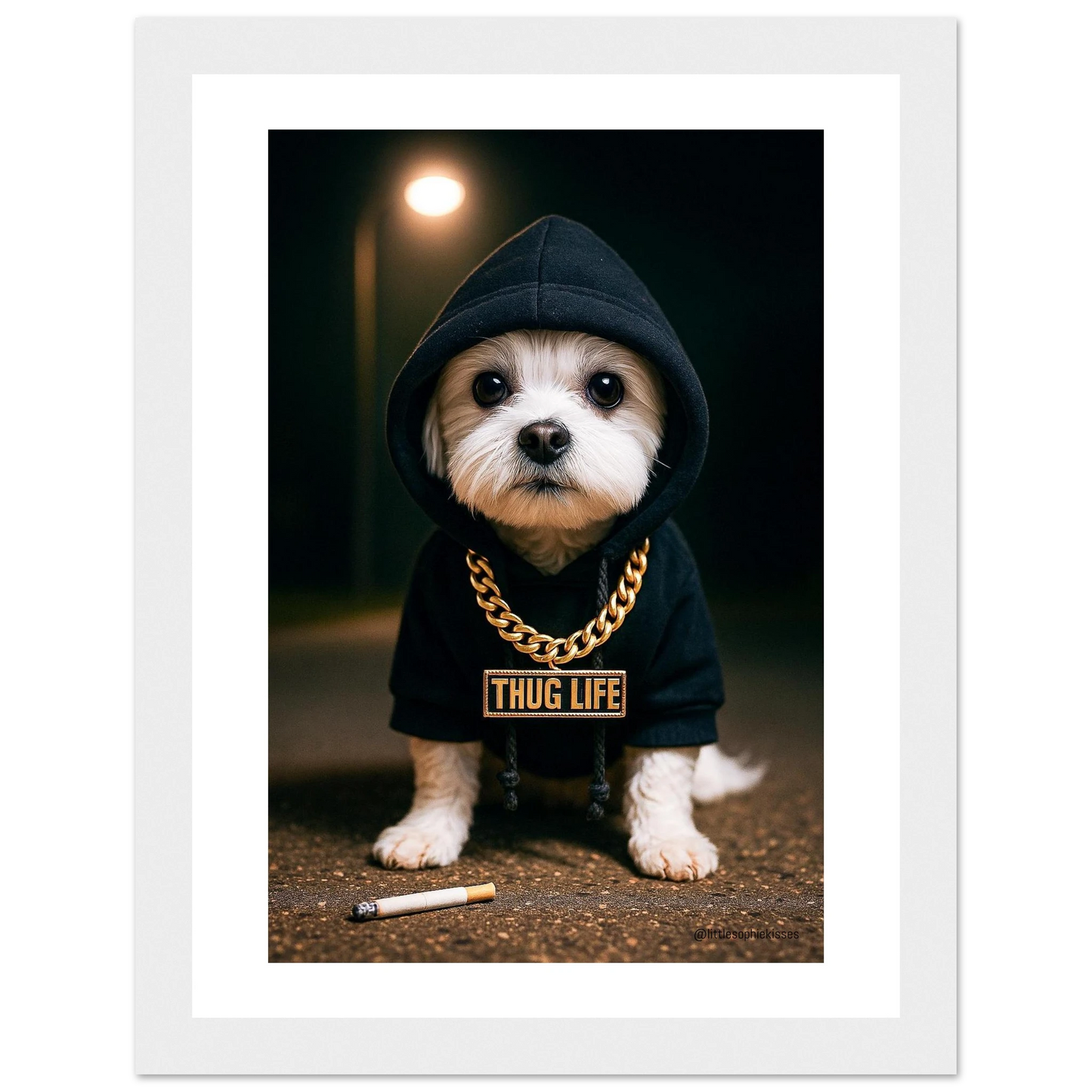 52f134db-fd1d-44f1-8b4e-8fffad6380b3