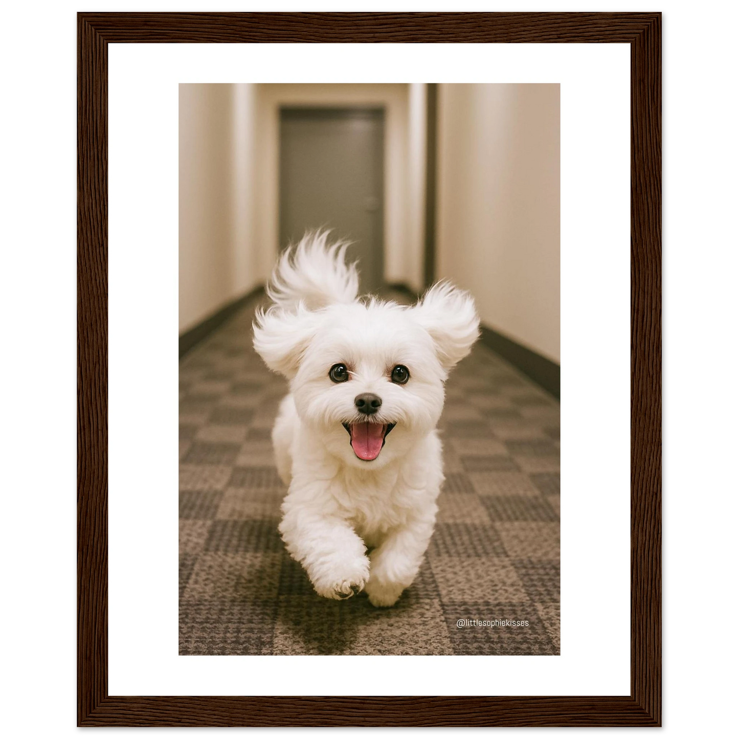 543e53f7-8c77-4c3a-a31c-a70440f9f6a1