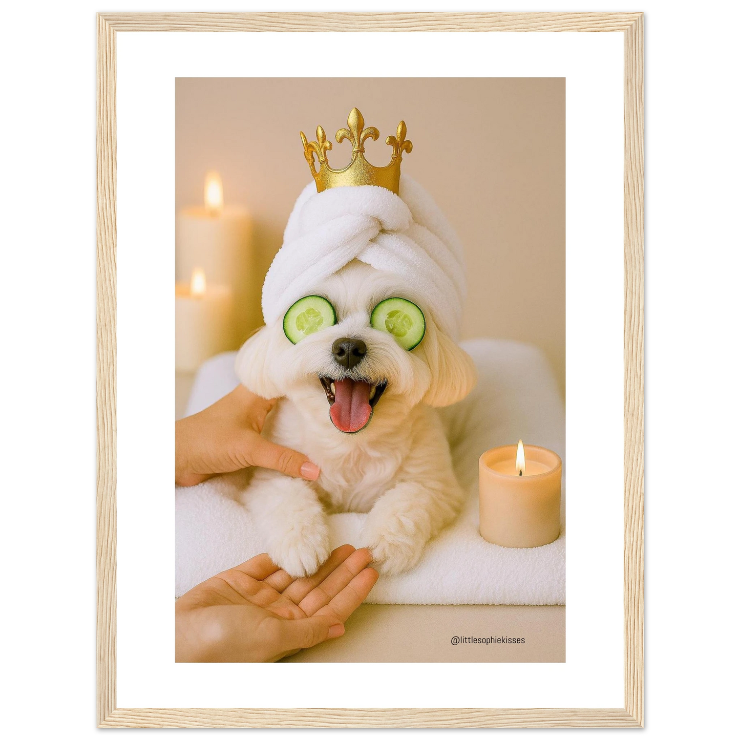 55575450-330e-4e1f-b9ae-06ebdbe8f5fd