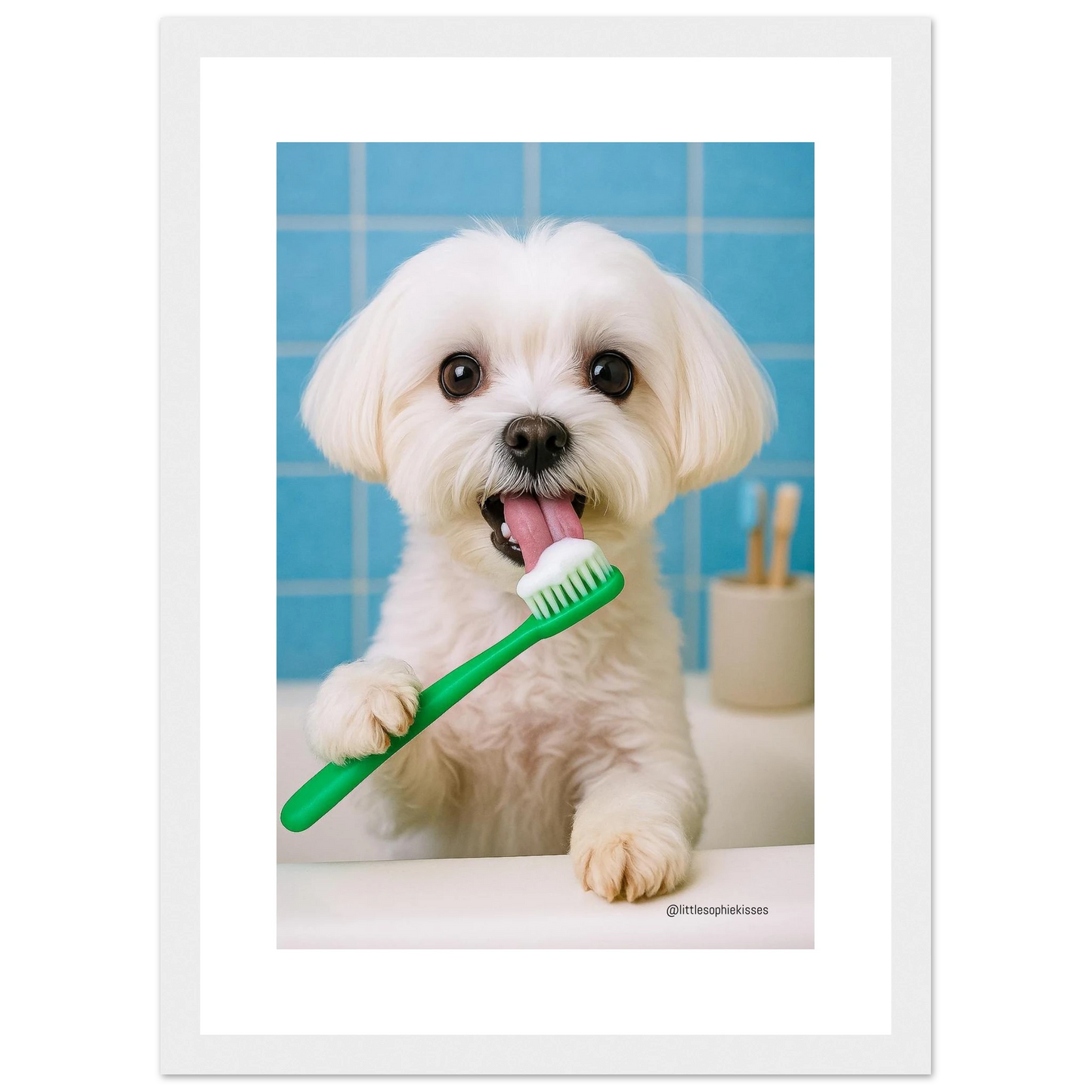 55a03a54-7b89-4ff2-b6f9-aed49a4c5d72