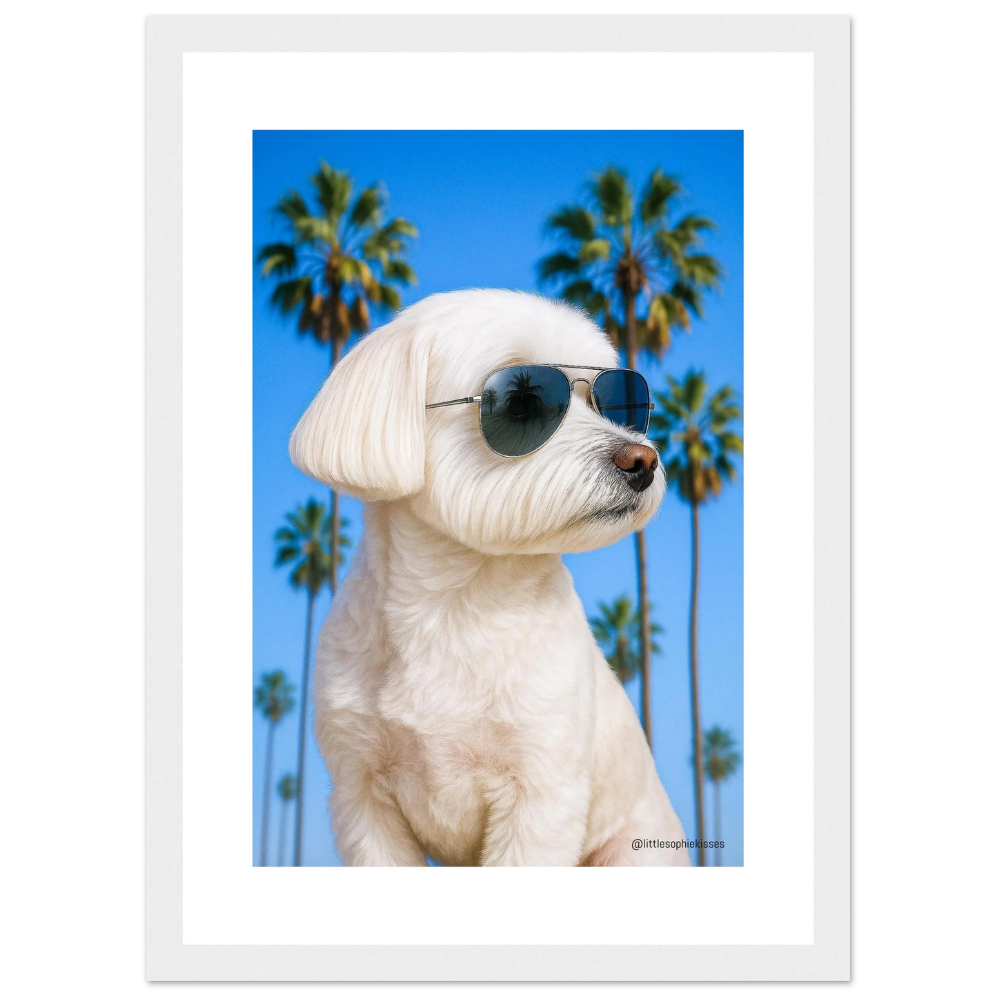 59d64708-fcce-4610-abc7-ad8818bffd02