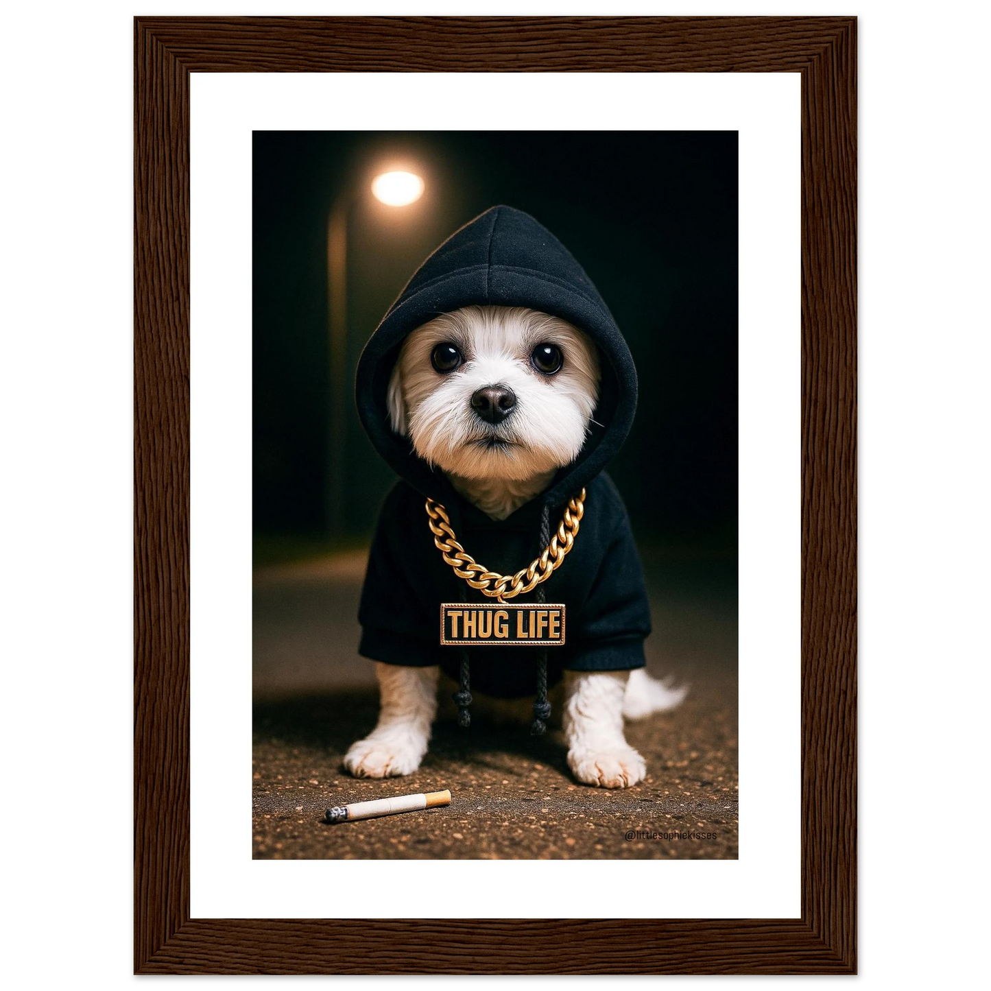 5cfc2ed3-9358-4014-b0e7-9f613bf12902