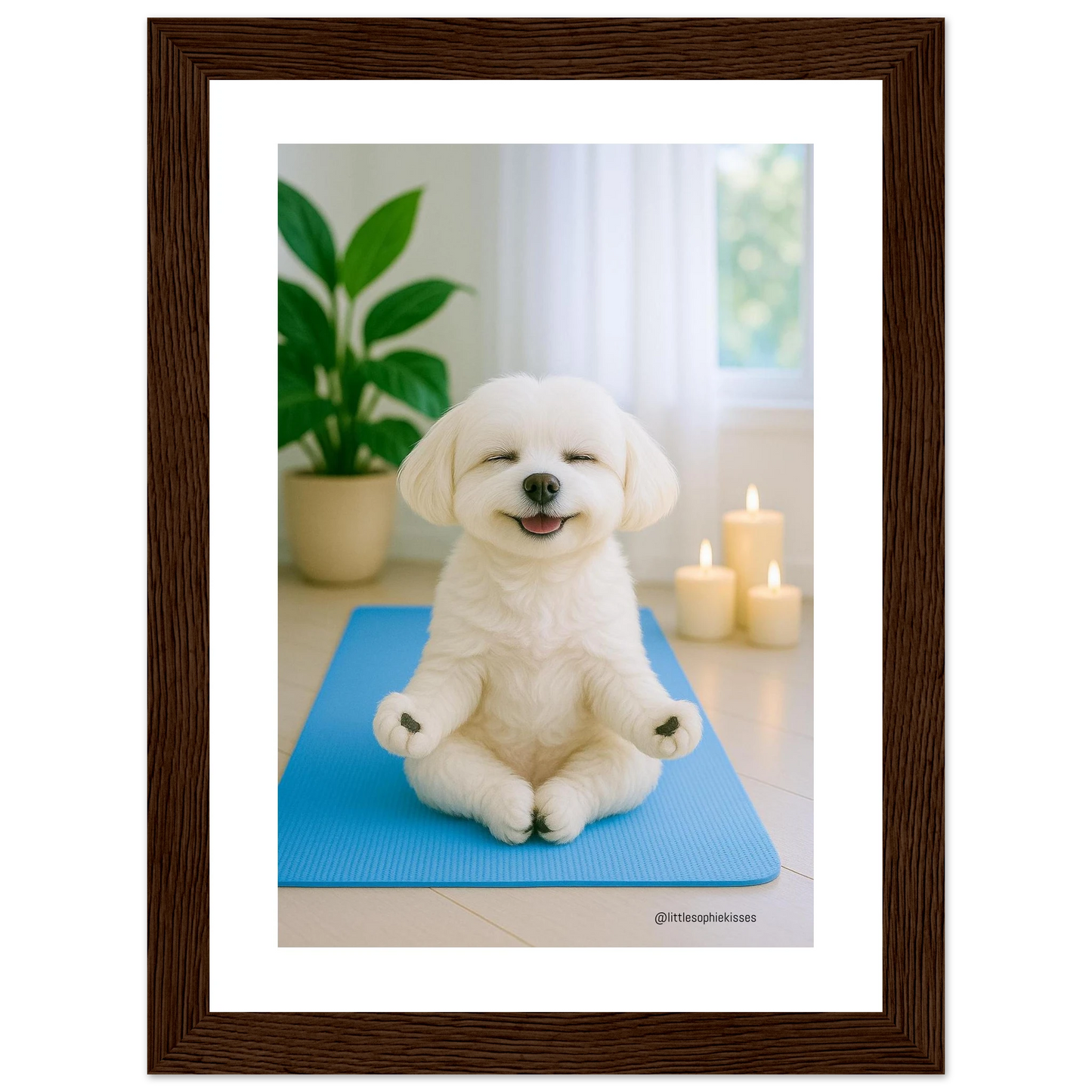 5cfe7a4d-985e-4631-81b4-443ffa21e441