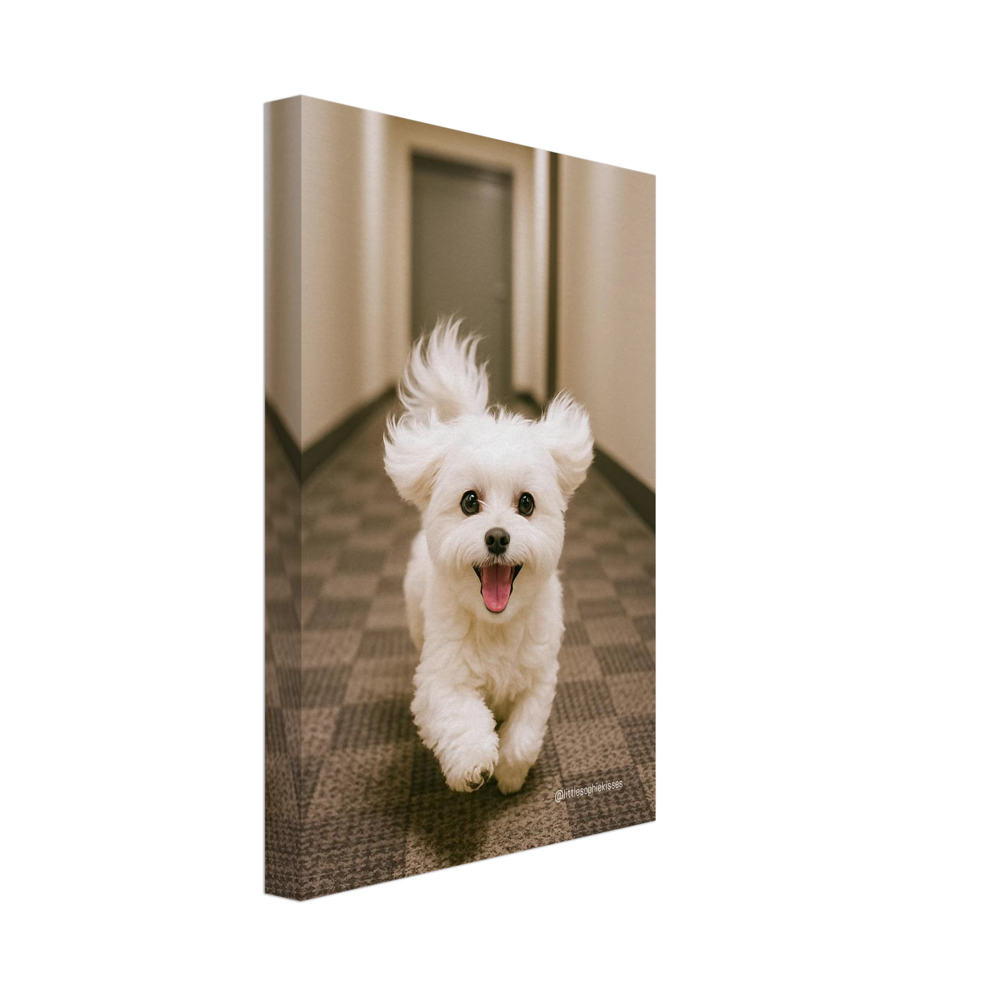 6244dfc4-ab8a-4ea7-bba6-fbd1a757dddf