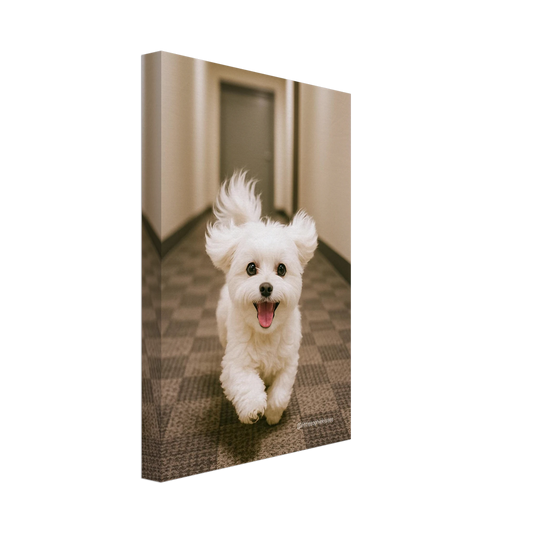 6244dfc4-ab8a-4ea7-bba6-fbd1a757dddf