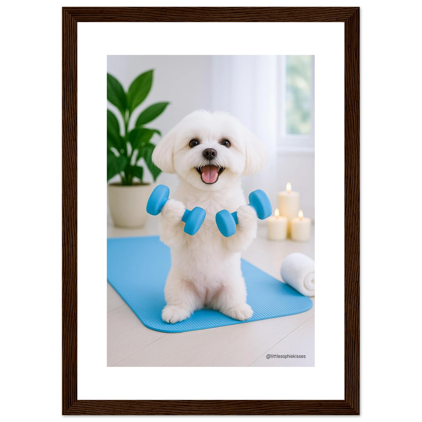 62530e4d-db90-4e54-b149-240c34c6712f