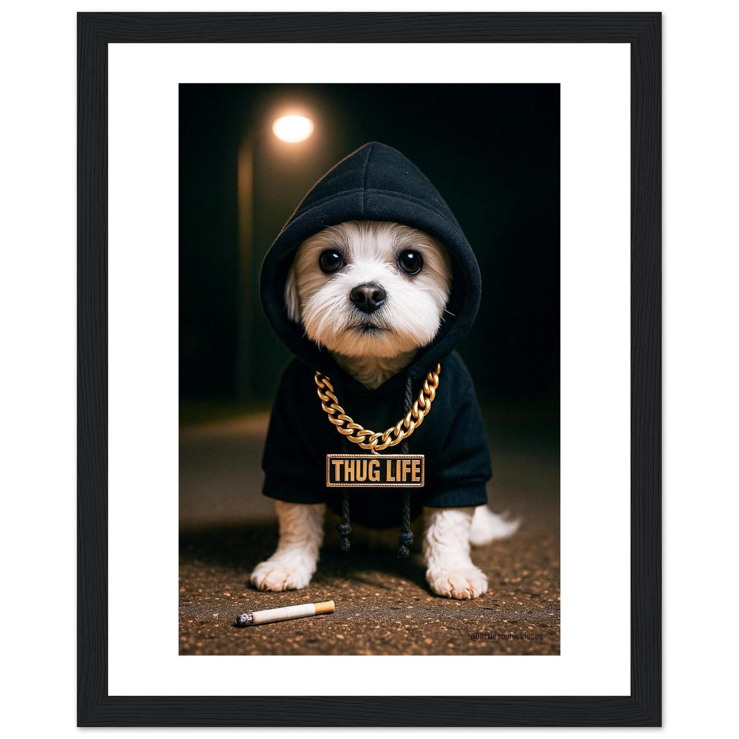 62c1bce7-c843-45e6-a6ad-27a88aaa766d