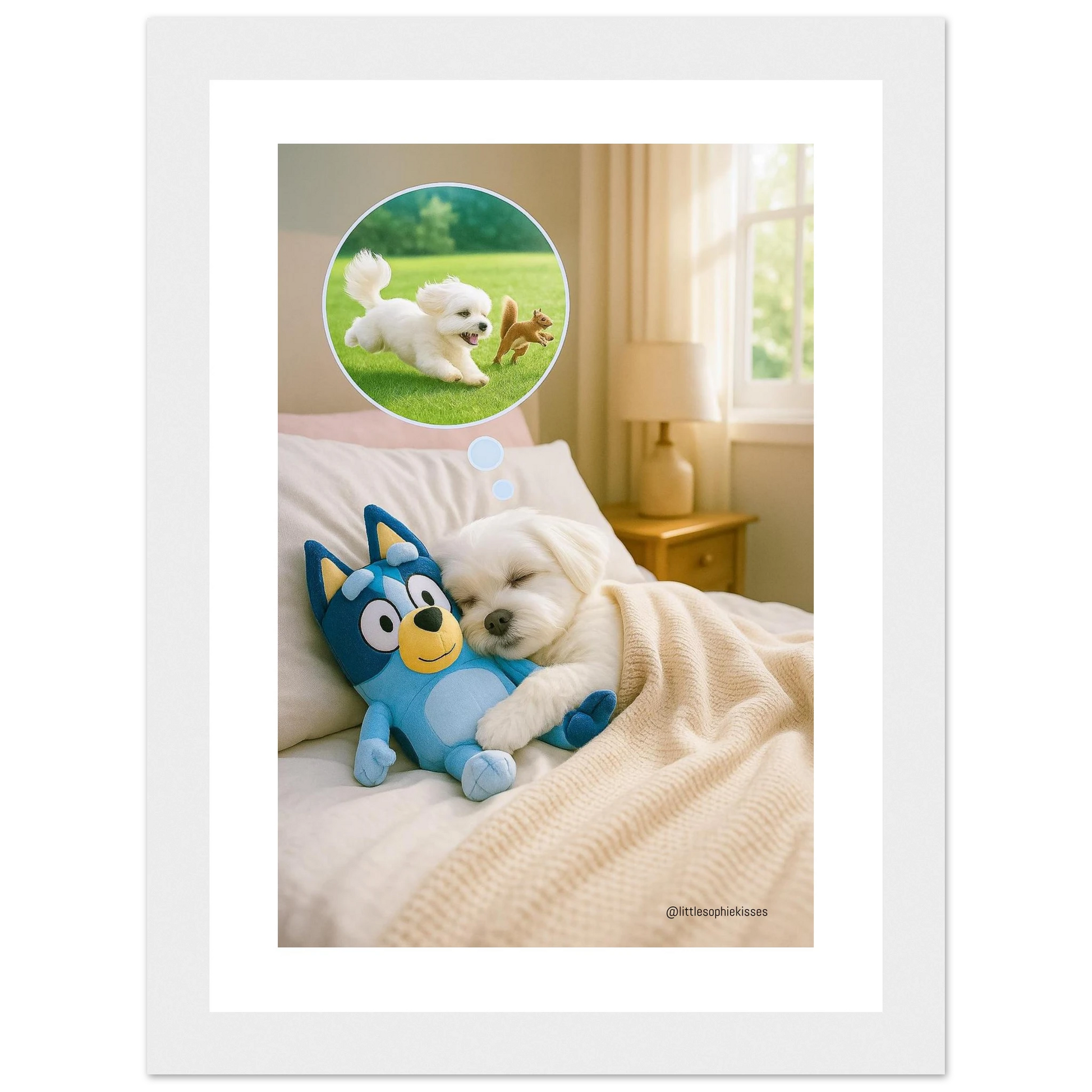 6466525f-ff23-45a8-907e-c96bddcd0bed