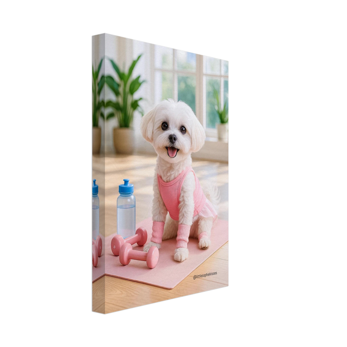 67174805-3953-44c7-9a2d-6b7e0e66f806