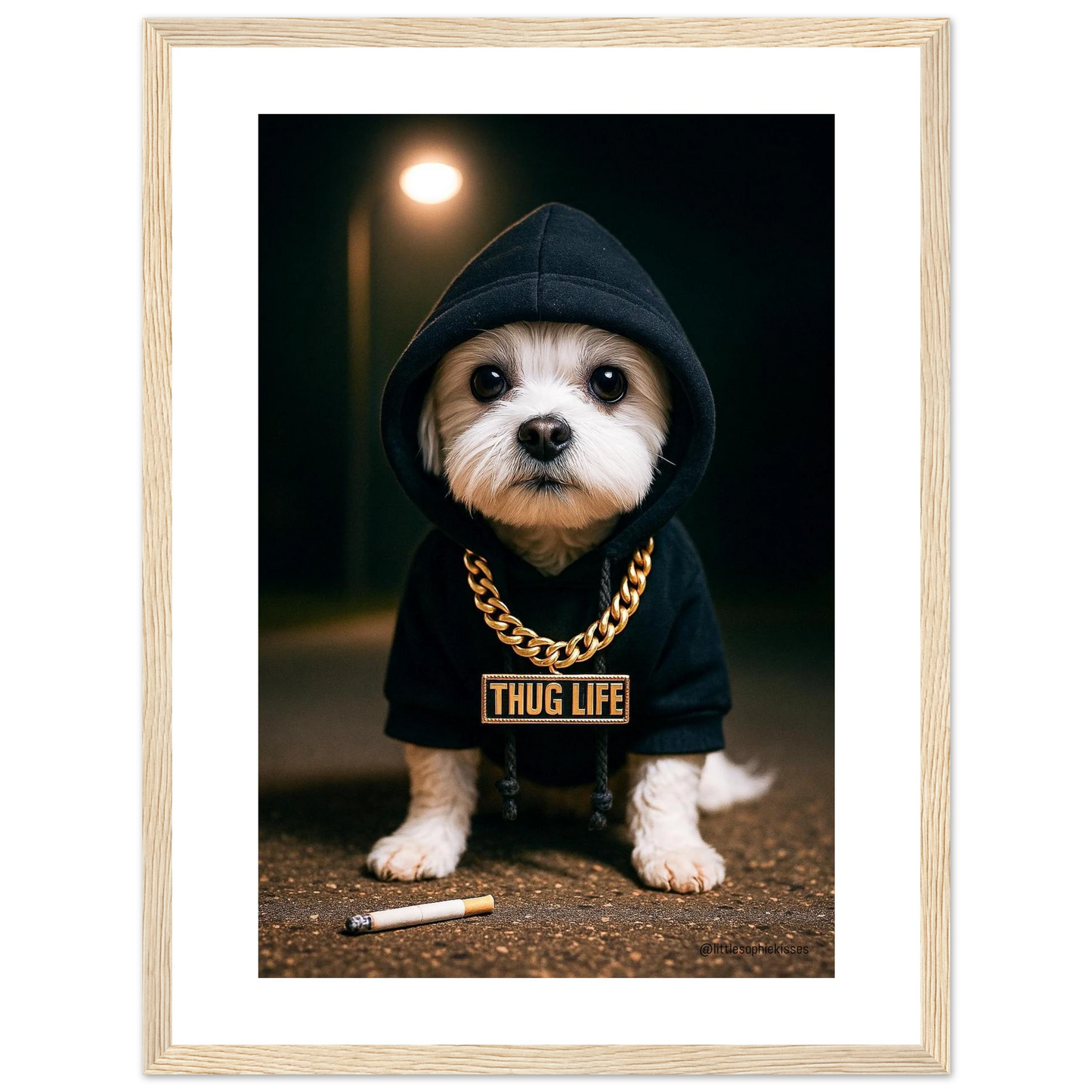 6a1ba913-ae18-43be-b043-04373854f2cc