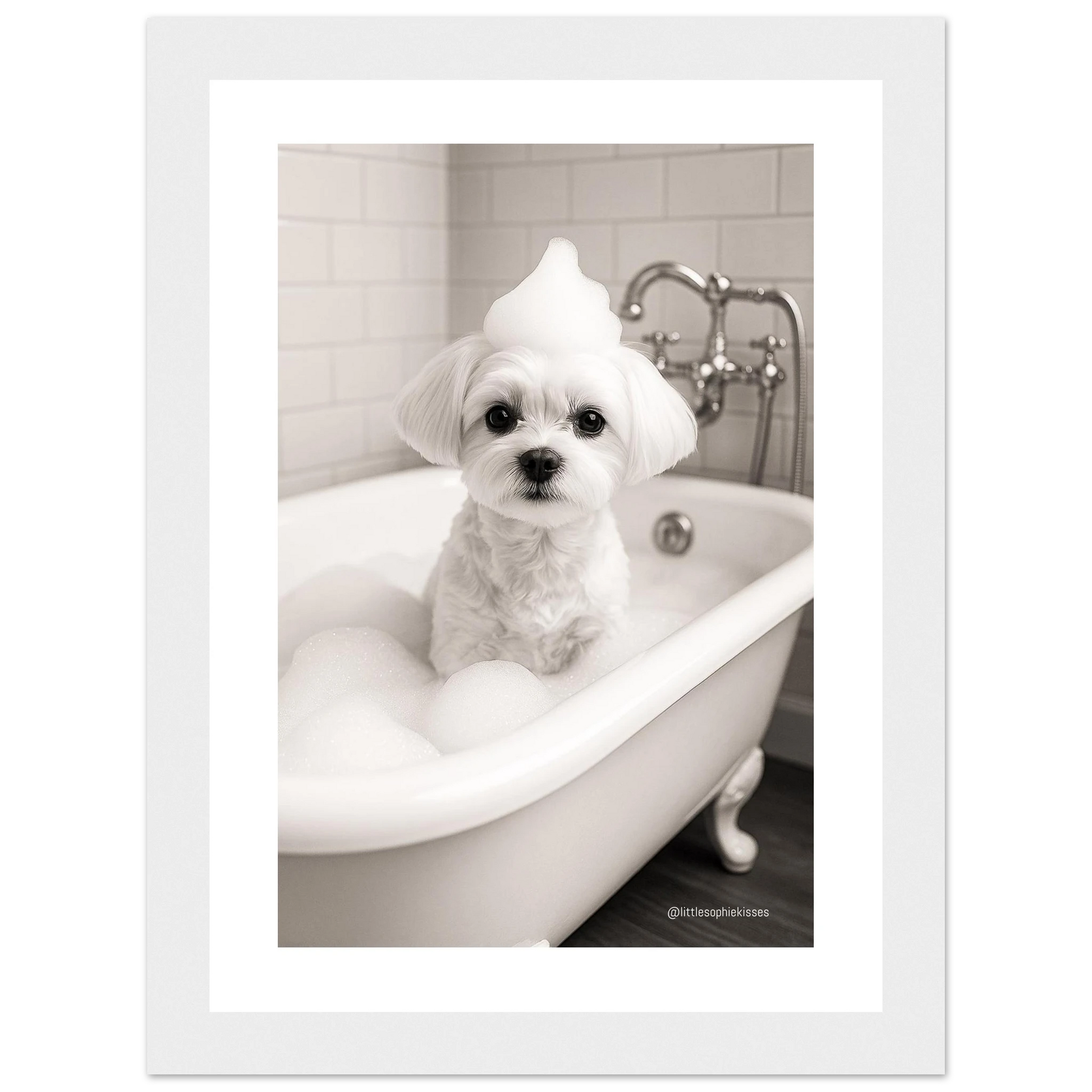 6c09de07-f230-4fea-8789-3d7e4a97225a