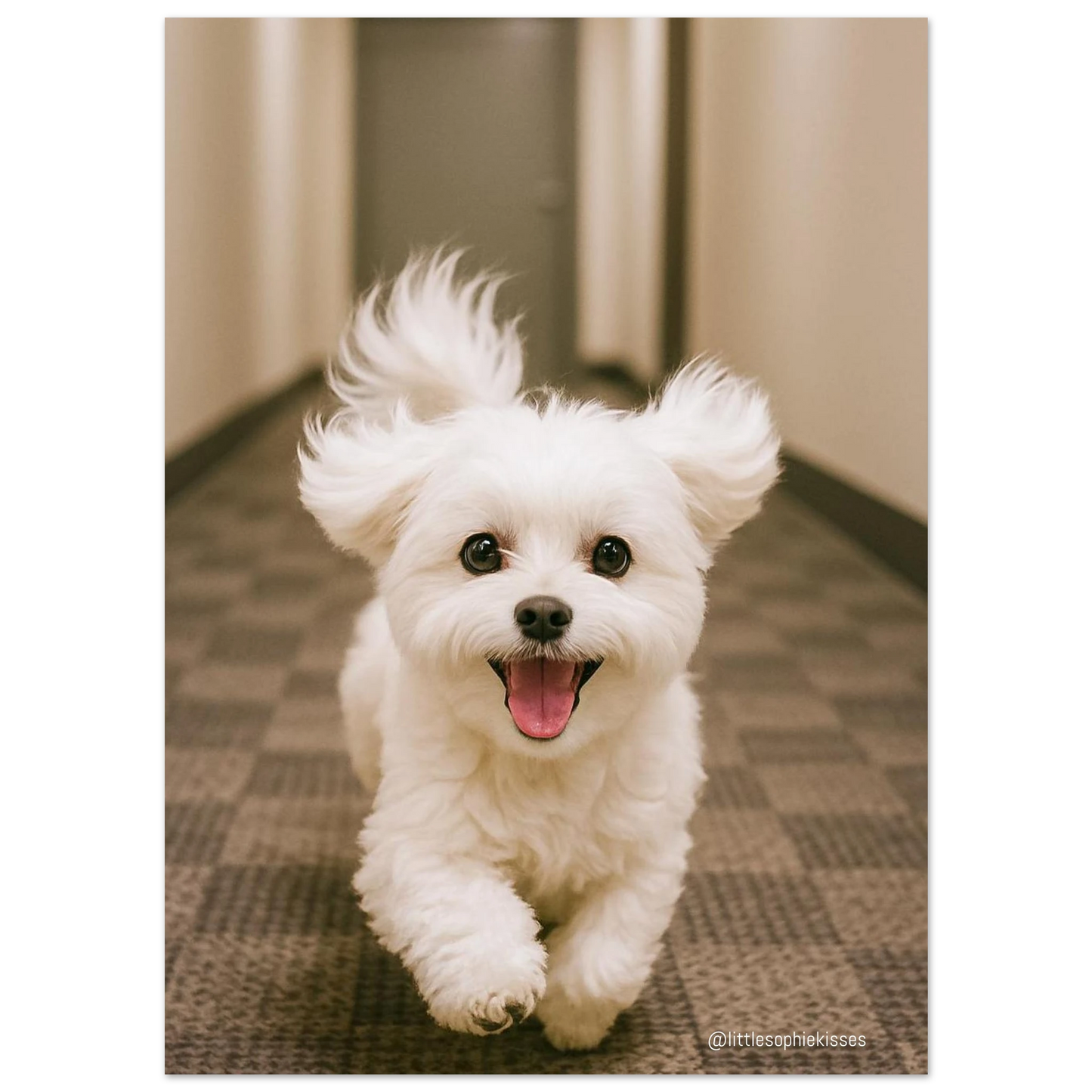 6ec9d28f-958c-4b9e-b5f7-38794829ee05