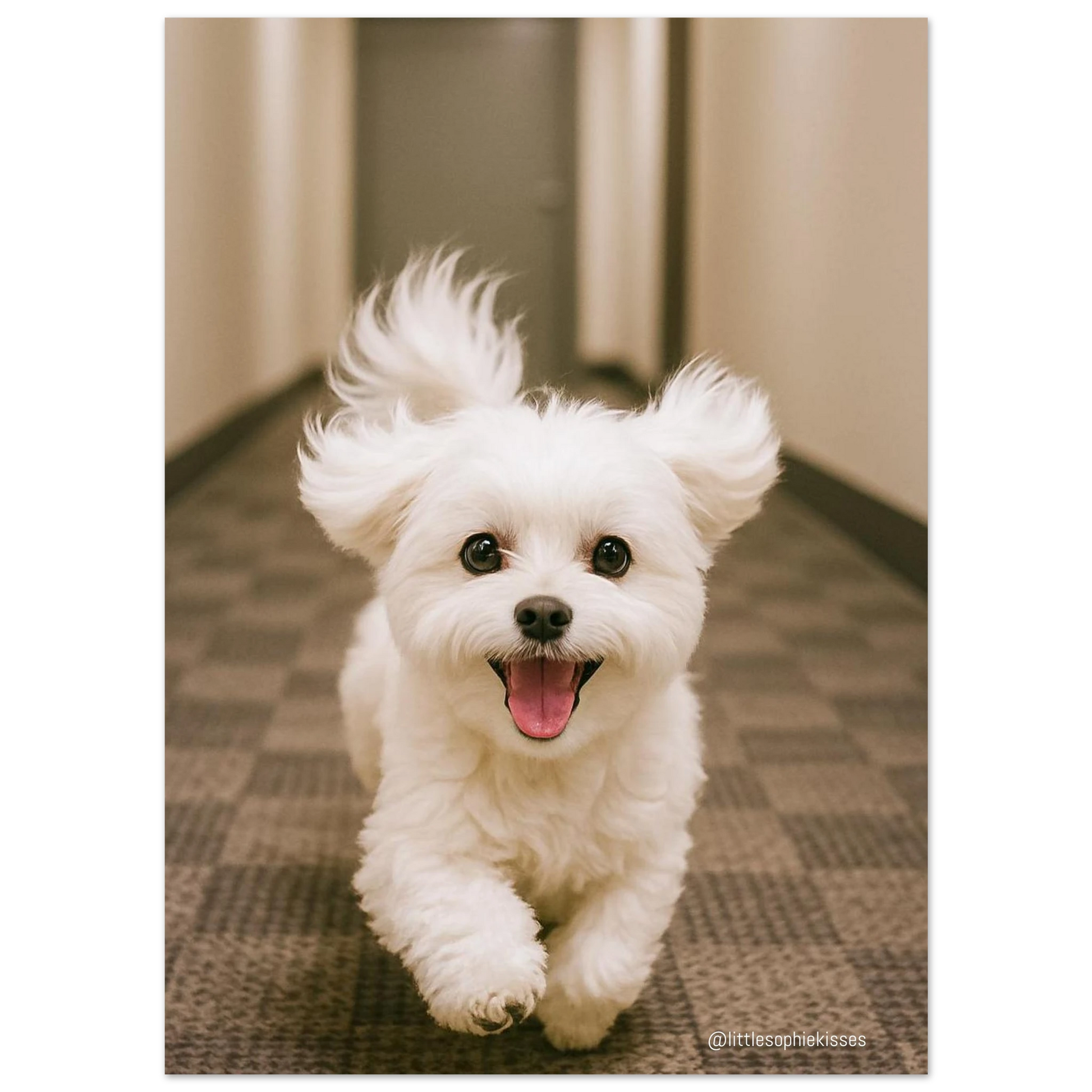 6ec9d28f-958c-4b9e-b5f7-38794829ee05