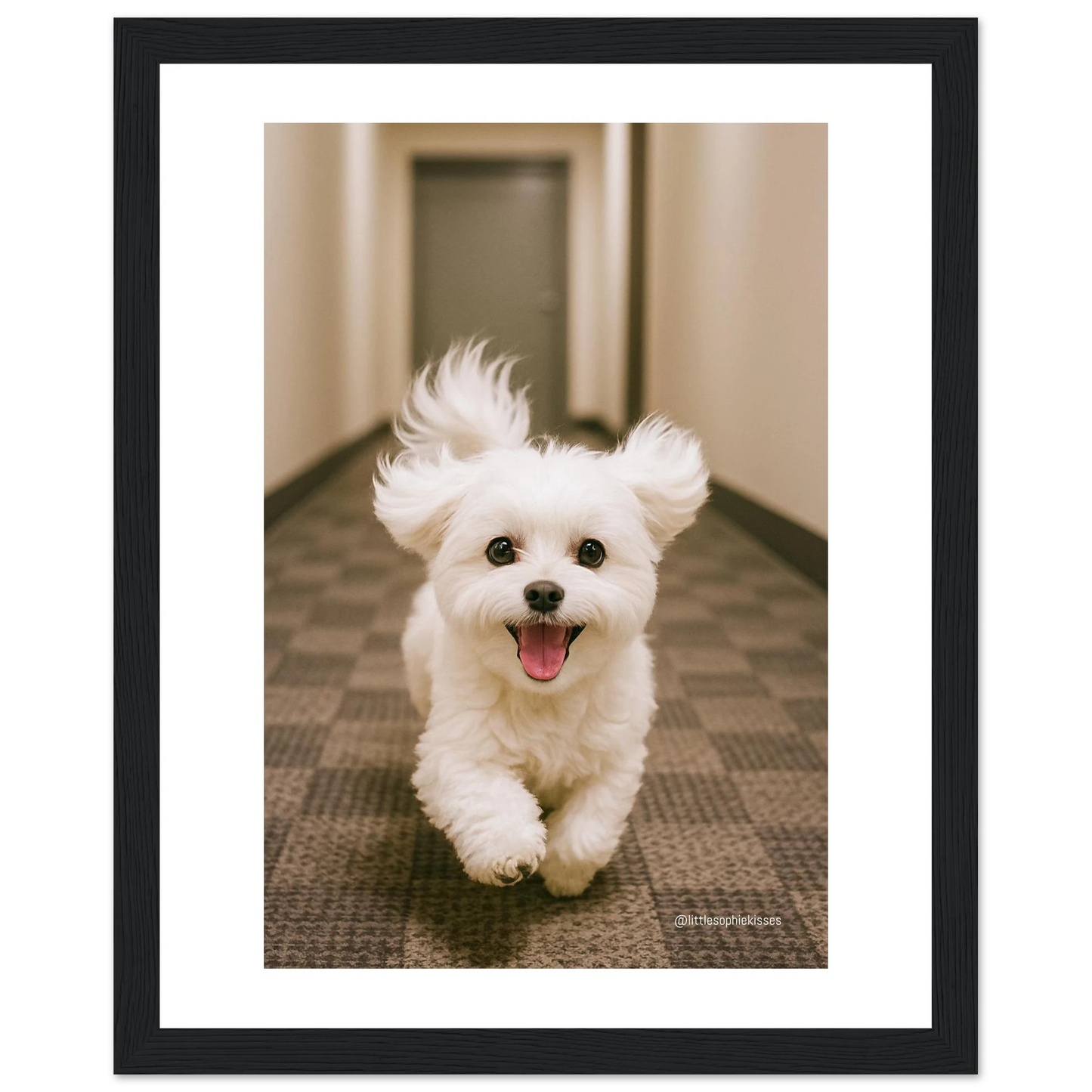 7008038a-1a5a-42da-8f60-fea2a5cd41bc