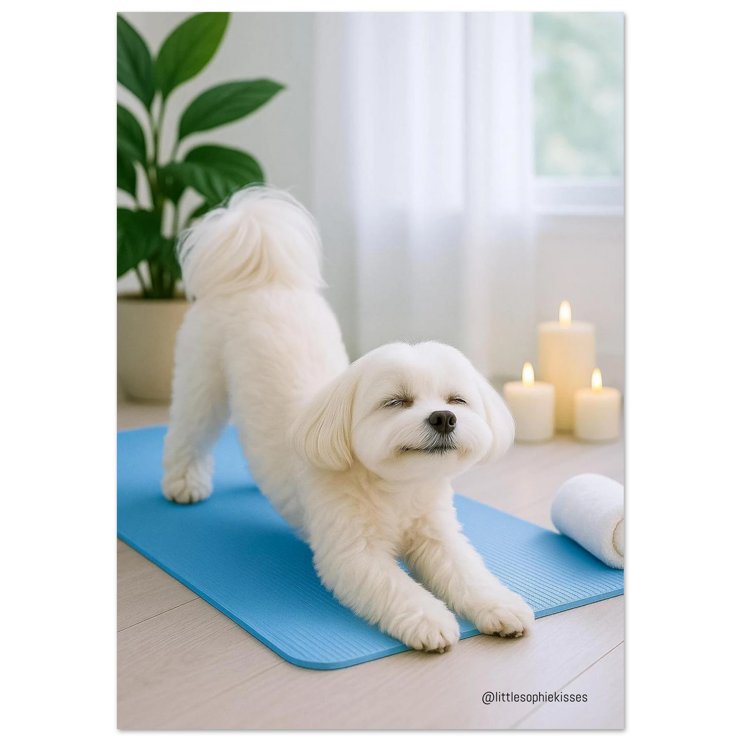 706c0c31-8daa-419d-b60d-110f30d7b6f7