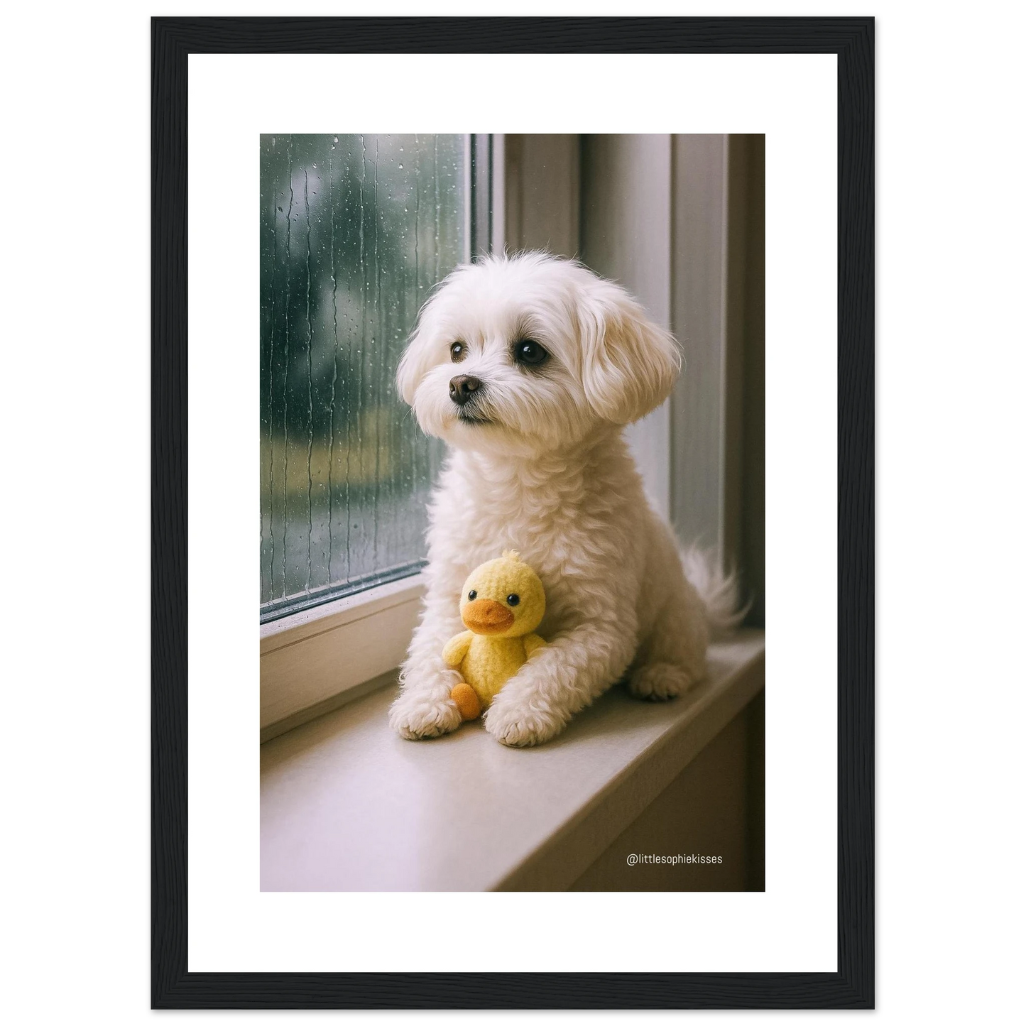 71b7d8ba-bd43-4b39-bd2a-b5fe01885487