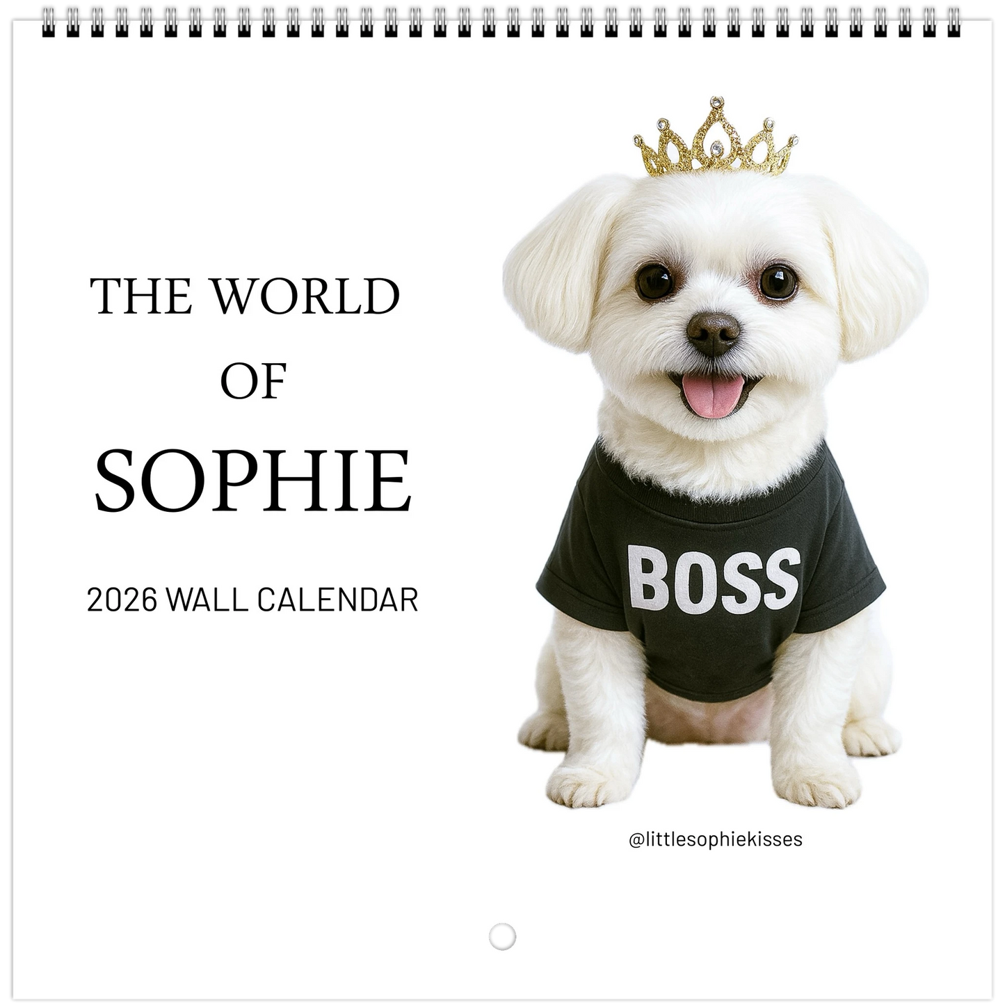 71ef43b2-29ef-42b0-84fd-8a0097d16aab