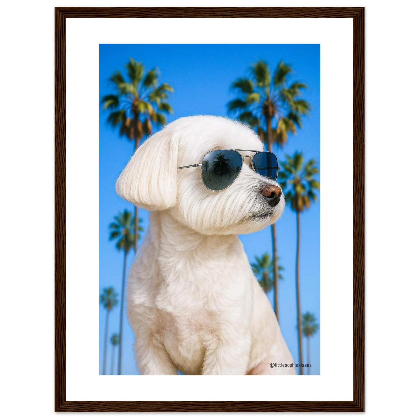 72ea149b-3352-44cd-b6be-6e771b1e292d