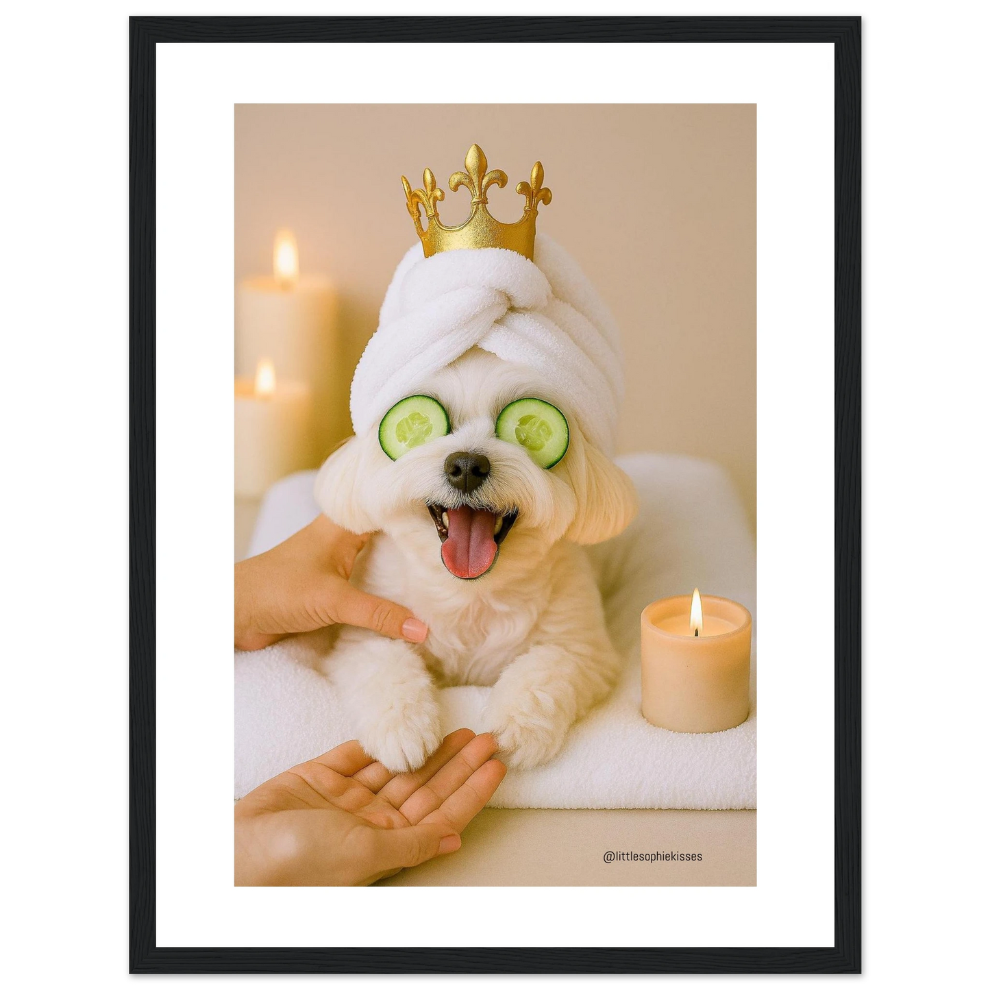 7710b26e-eafa-4cde-9c13-07a5f36d0858