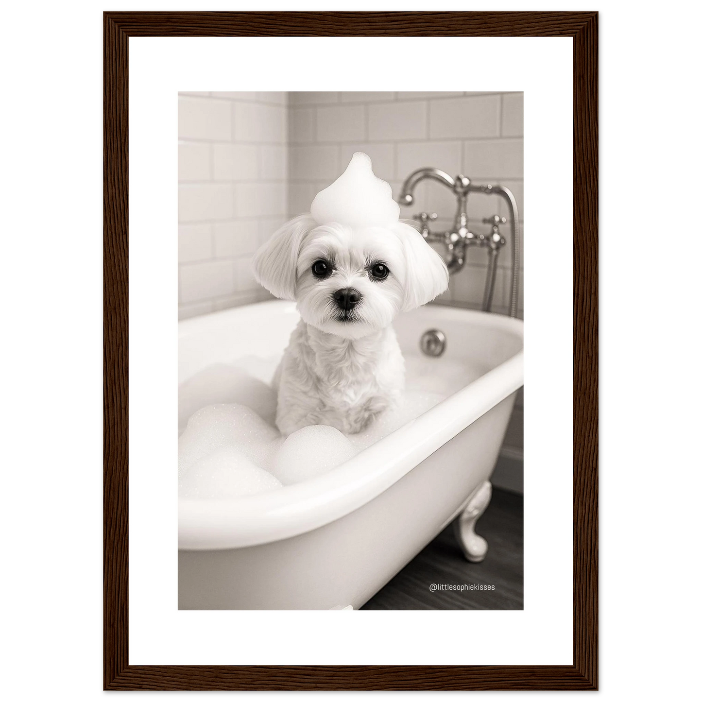 7729ec93-5c3d-4f79-8801-8d47cb266fa1