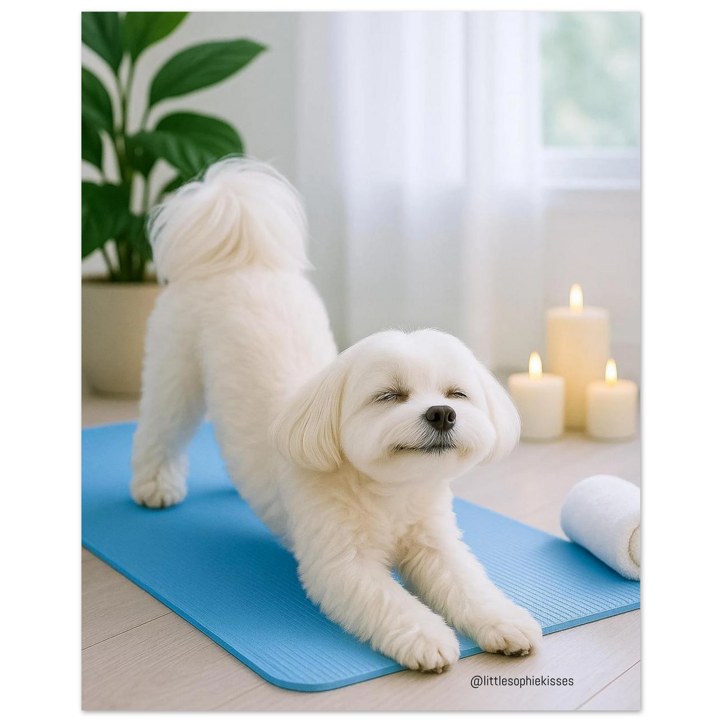 77bed7ab-f1bd-4830-bc0d-e04d3fd0b937