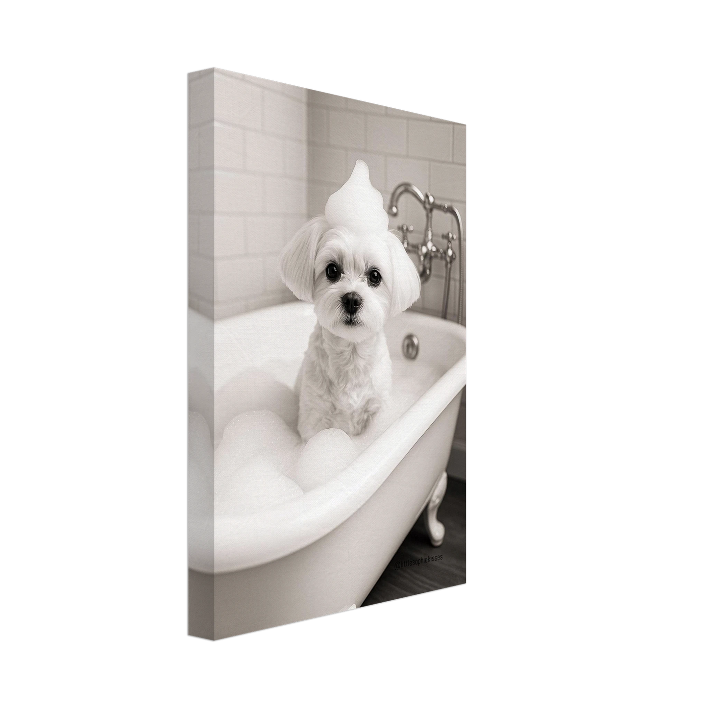 7d7449a1-69dc-4a61-8826-c68ccb003f26