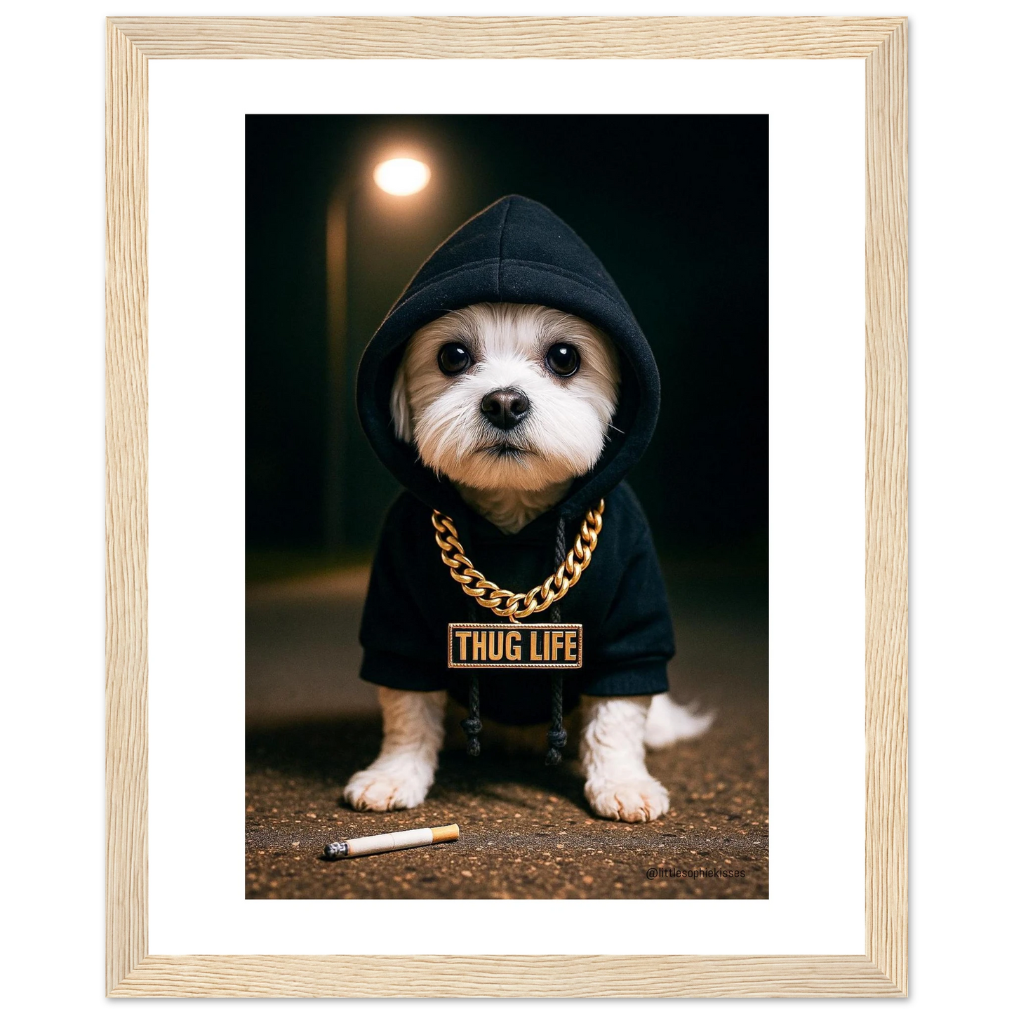 7e16529f-7f05-449c-911c-0620efb6af76