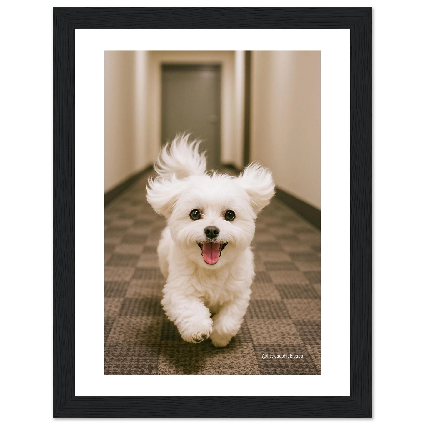 7fbbe854-3cfb-4db6-aad7-2a7d0decb61b