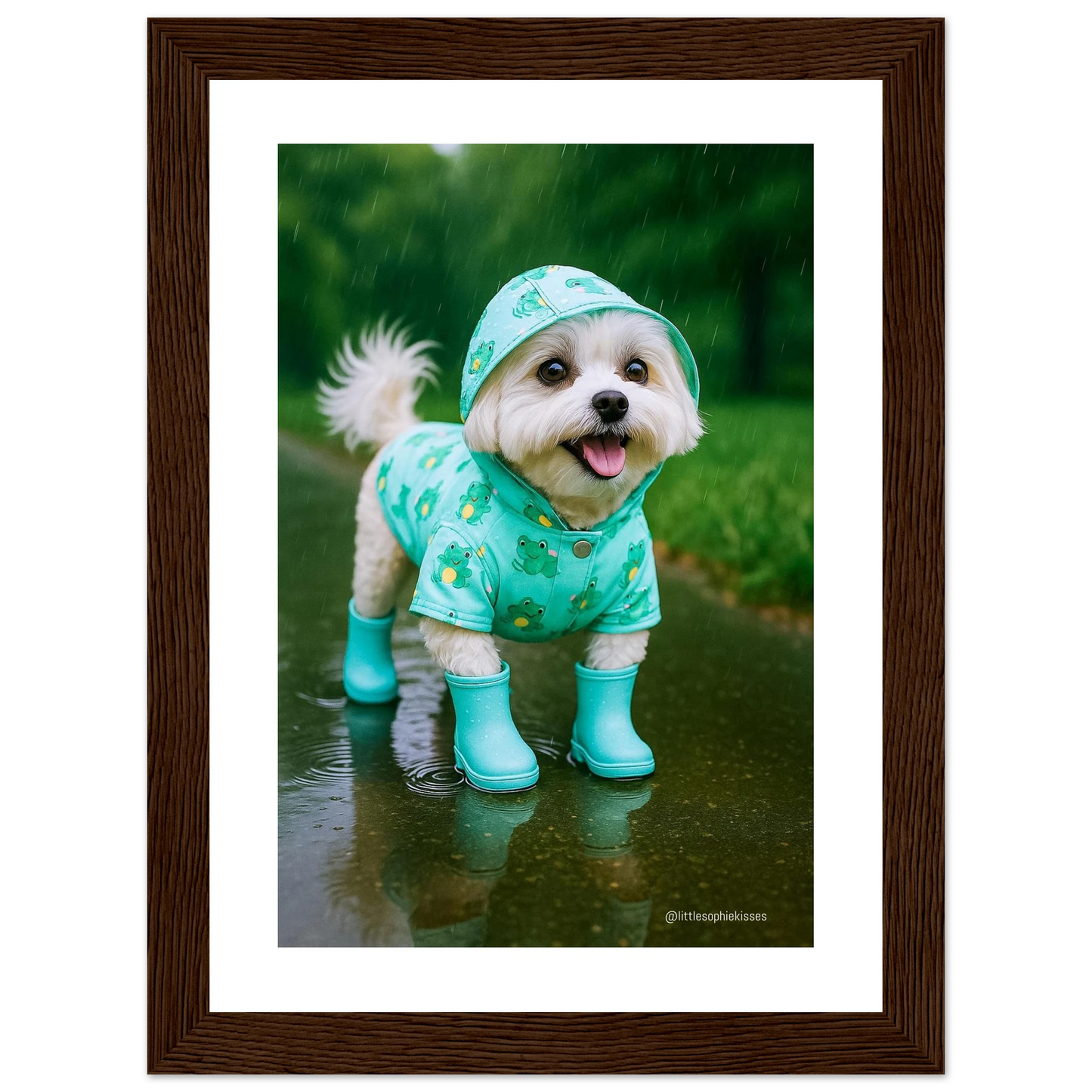 815bc190-f9e2-4651-8a52-6d6449f78834