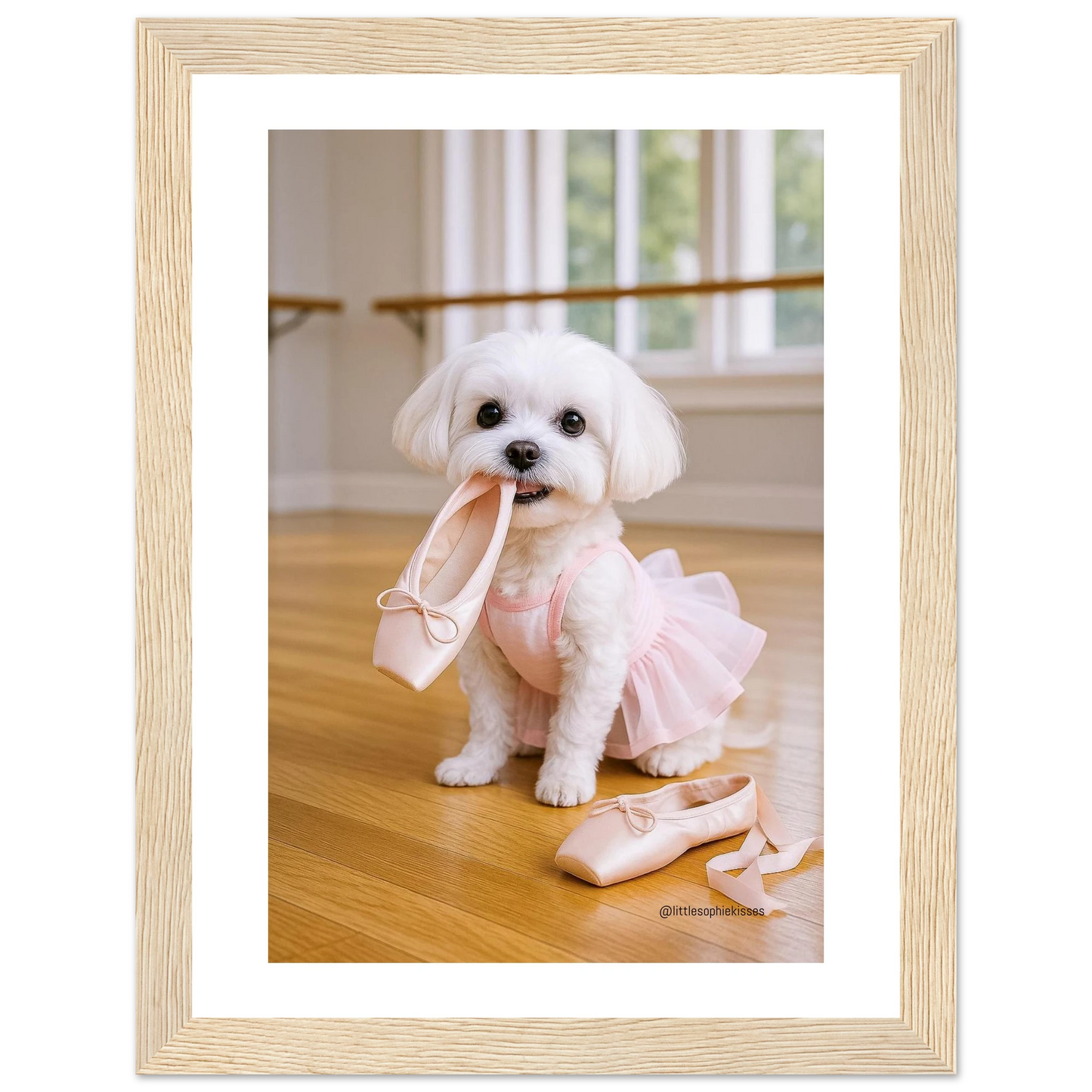 846f1ded-a2e5-402c-85b1-c8c0dccf55c8