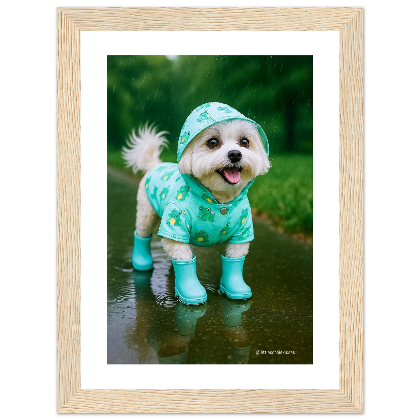 865a8d7f-1b16-4046-ae2d-f4d4c4f00dd9