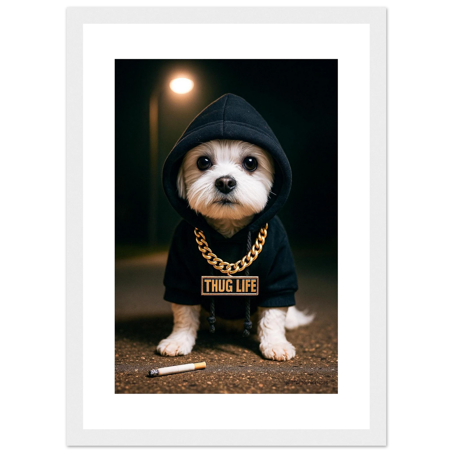 87158804-10d3-4999-81c3-1369c393c5d7