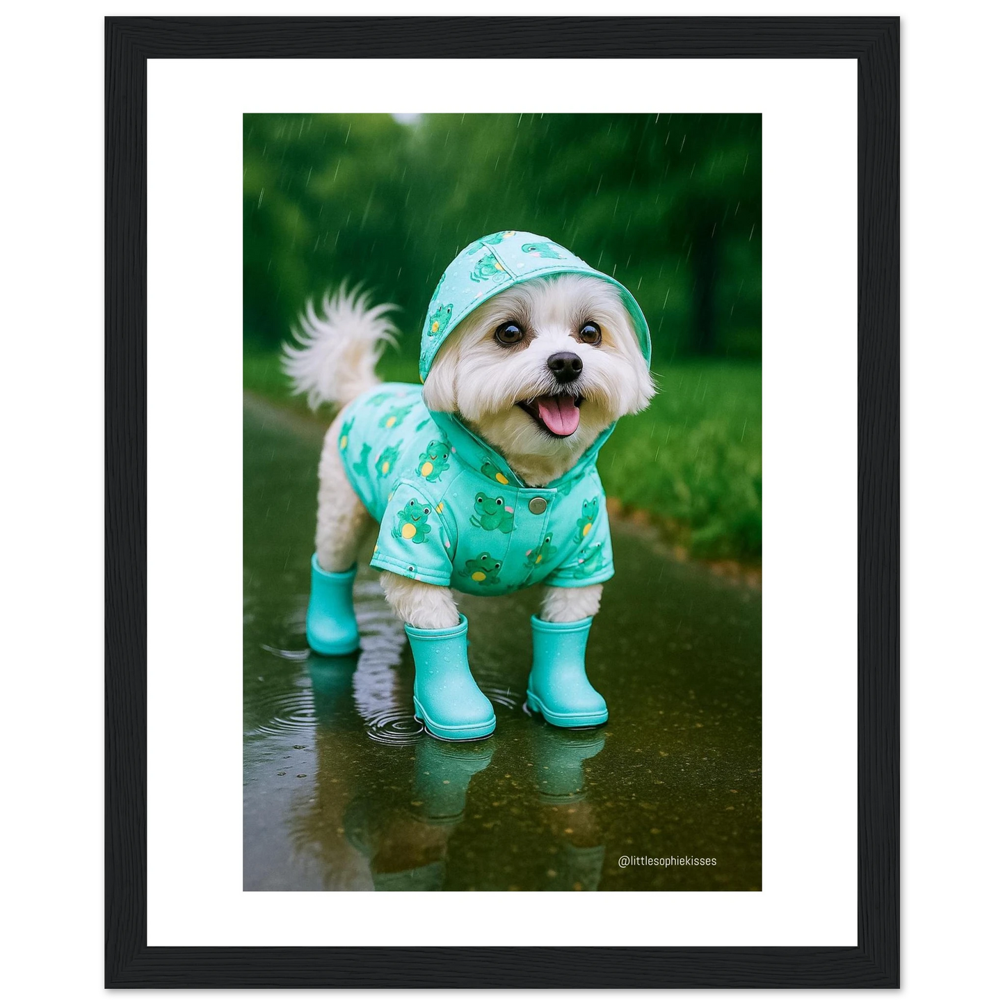 894718a7-41ab-45d6-b493-352881f268a0