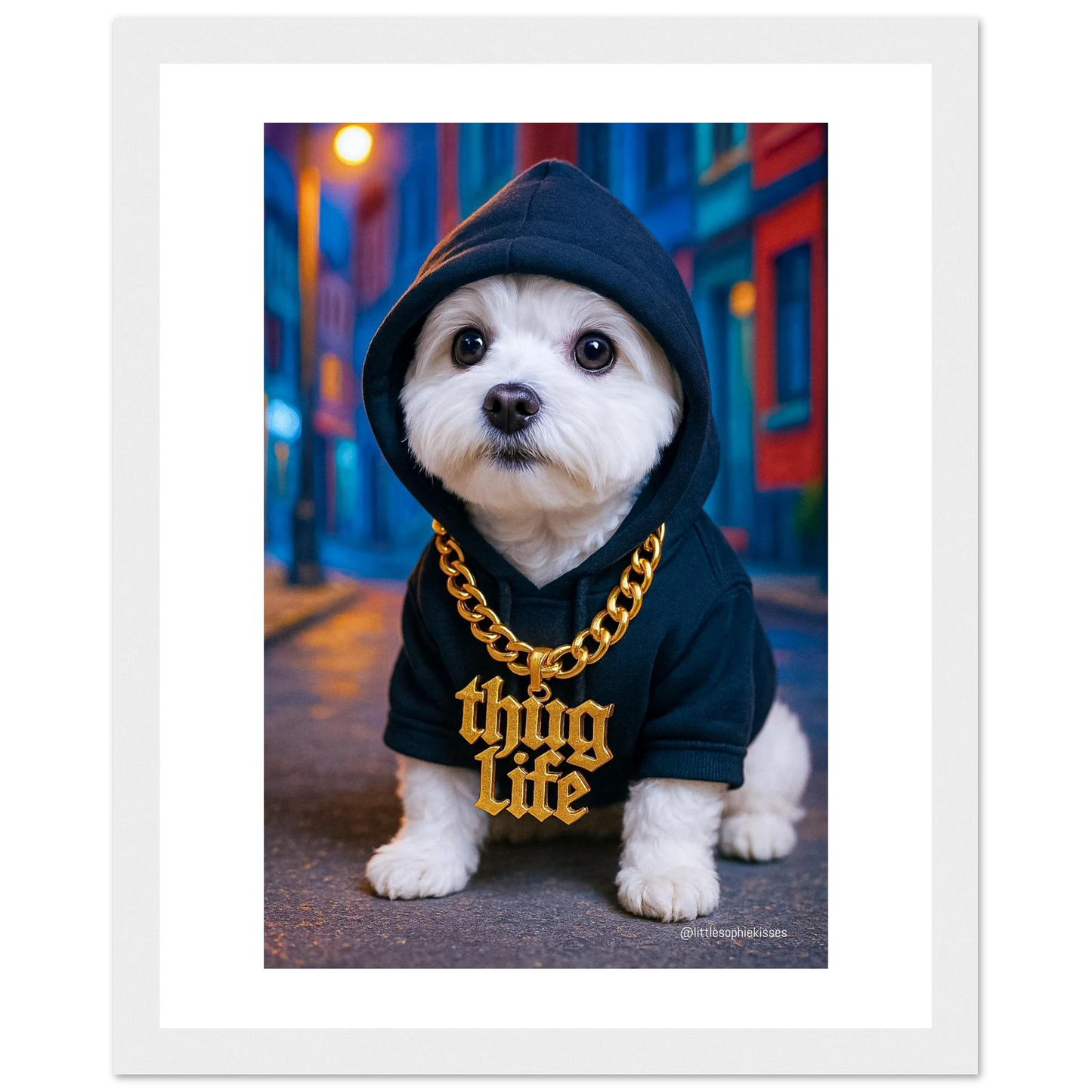 8a8f505e-2840-4641-92ab-ee968443854d