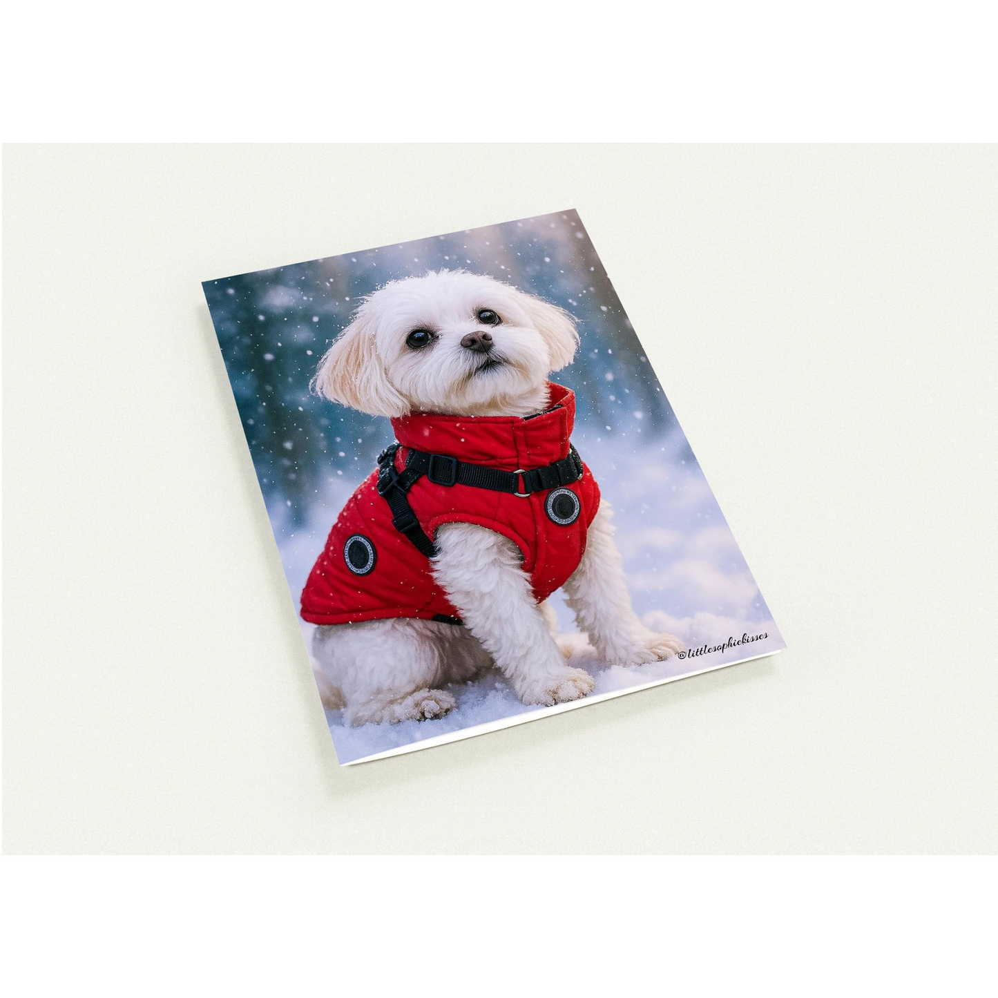 8dae0609-f516-4986-9738-ddaca5576c7b