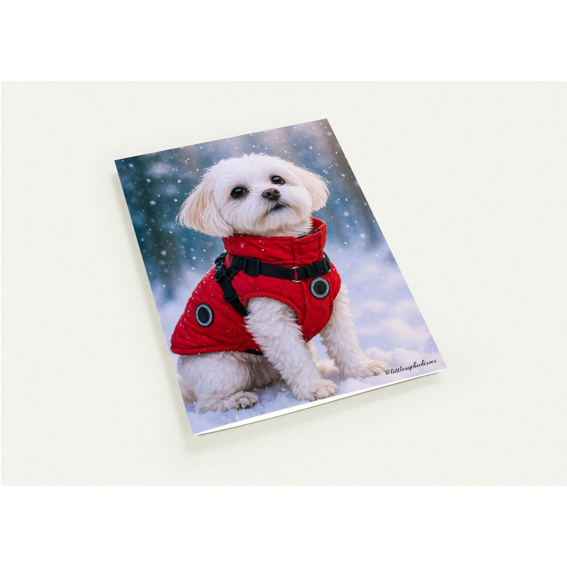 8dae0609-f516-4986-9738-ddaca5576c7b