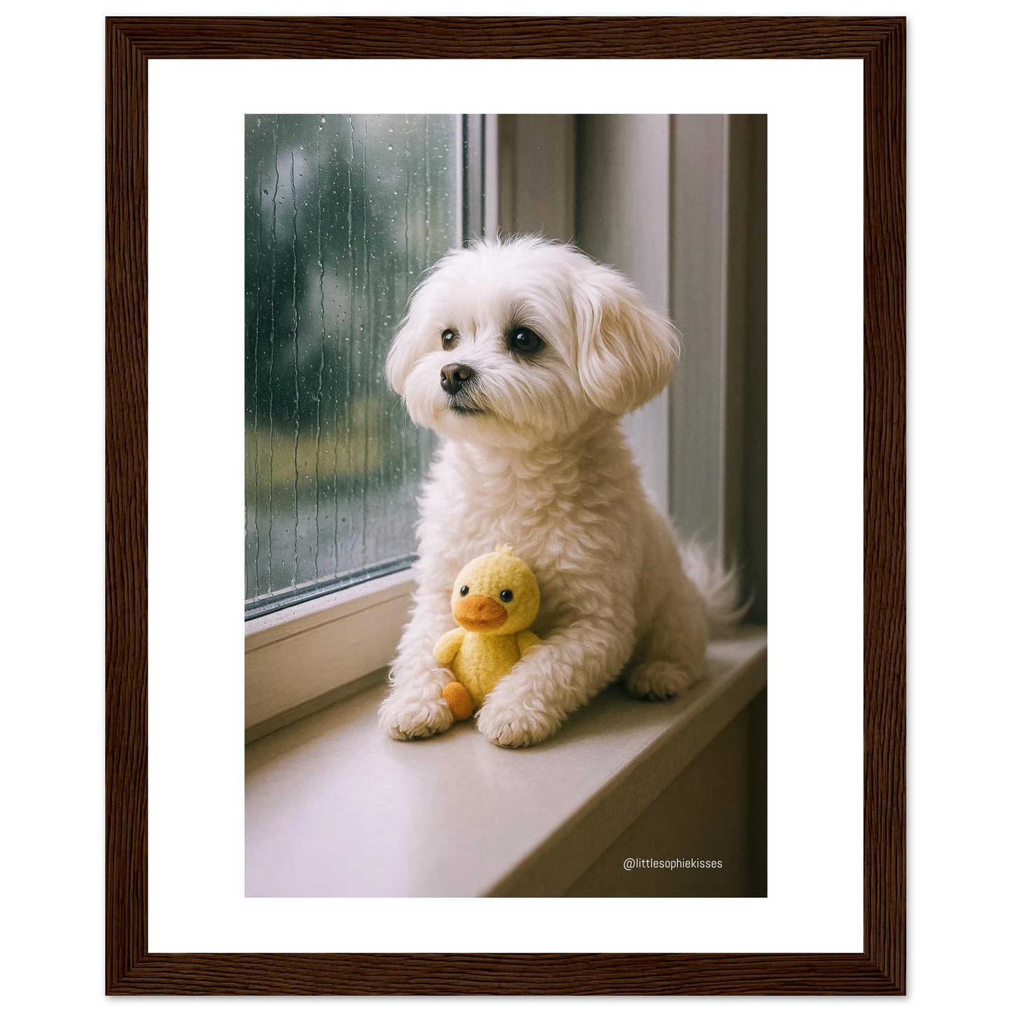 904b4576-84d4-44f2-8604-25c85f4ff06e