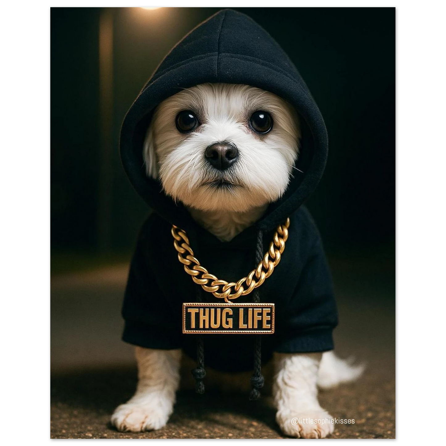 932e7c00-c975-4a2d-9f39-600820458266