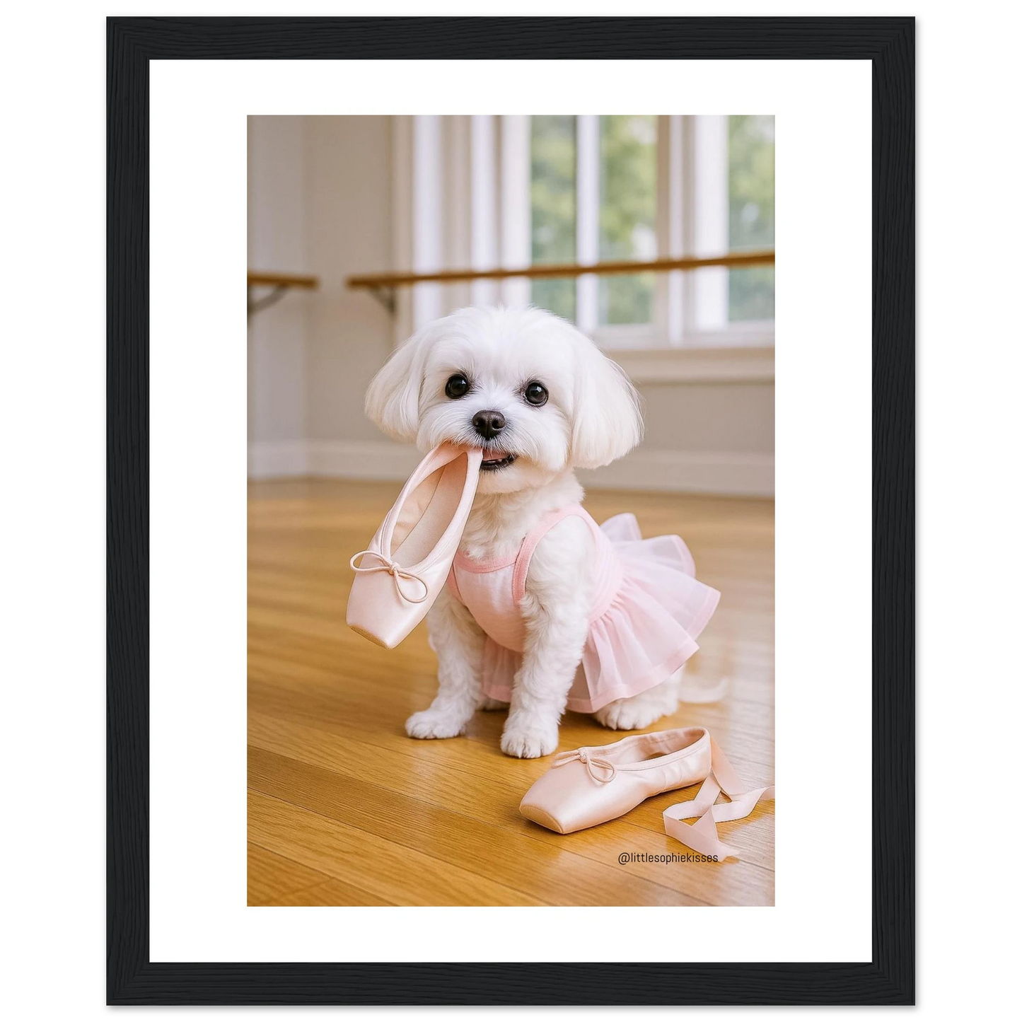 96a4222b-d12f-4ef9-96ef-107c4b8e1154