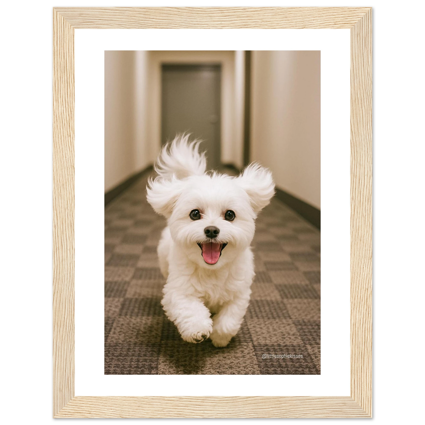 9a7fba12-3c7f-4ed0-b3a1-fa9a6f60072d