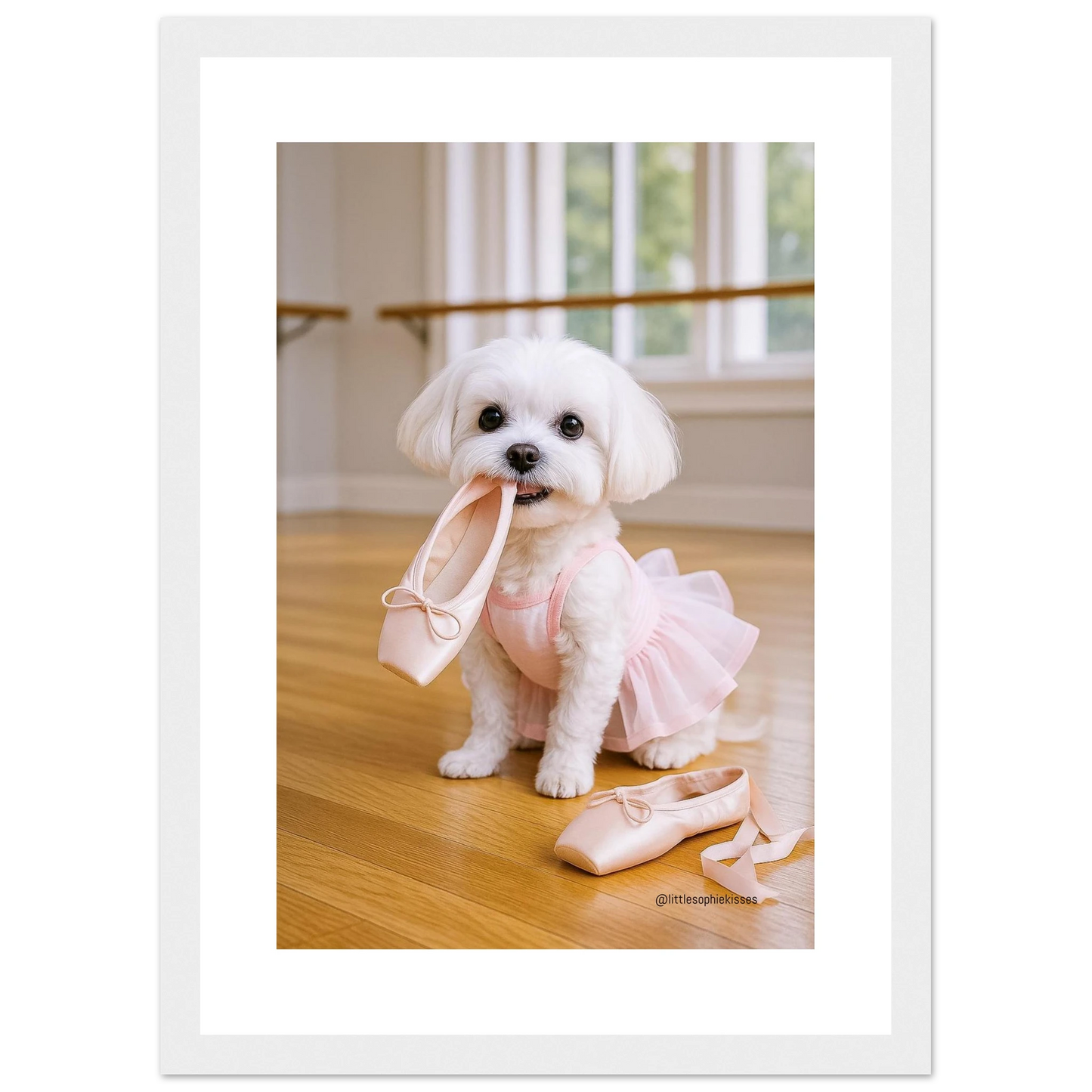 9b4e5c2b-0e29-4658-b6ff-6ce854f5e972