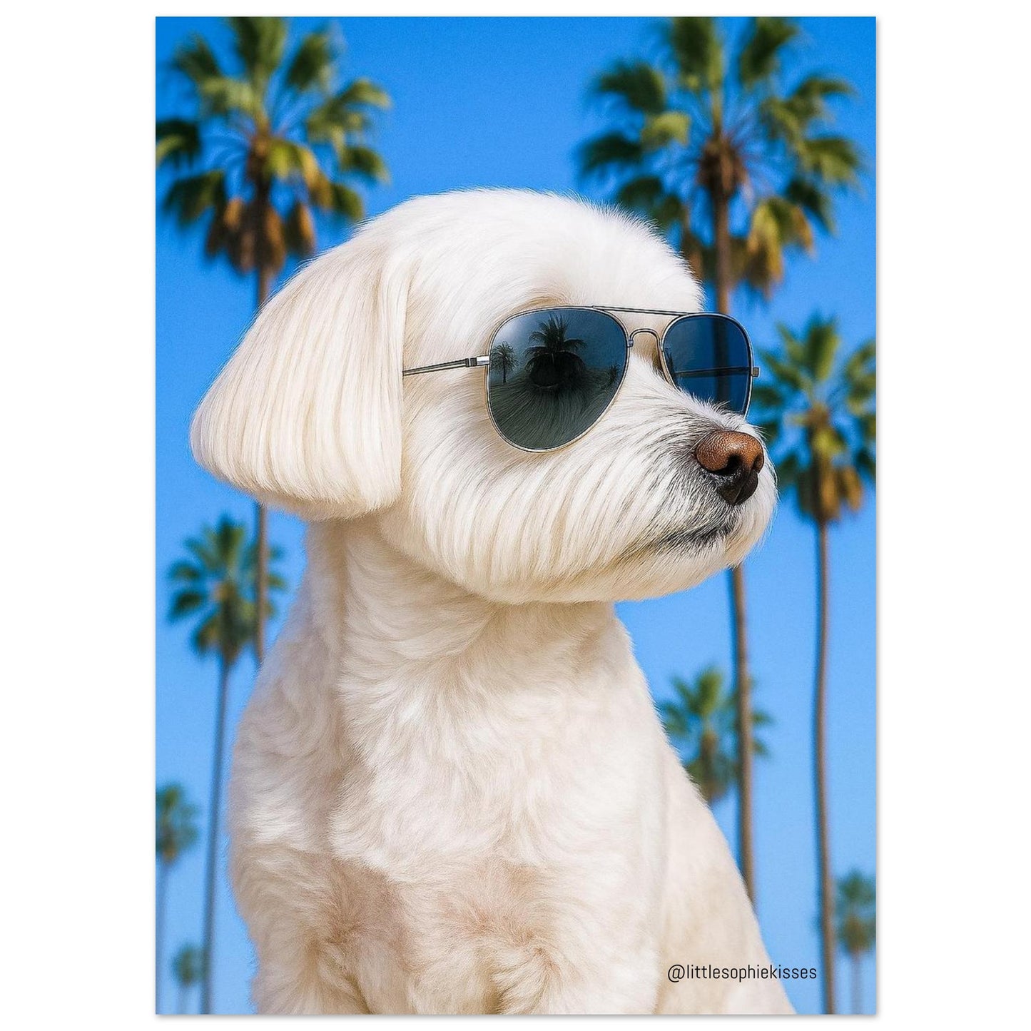 9b5b9129-dadd-4ebc-8eec-bed1ec77cad5