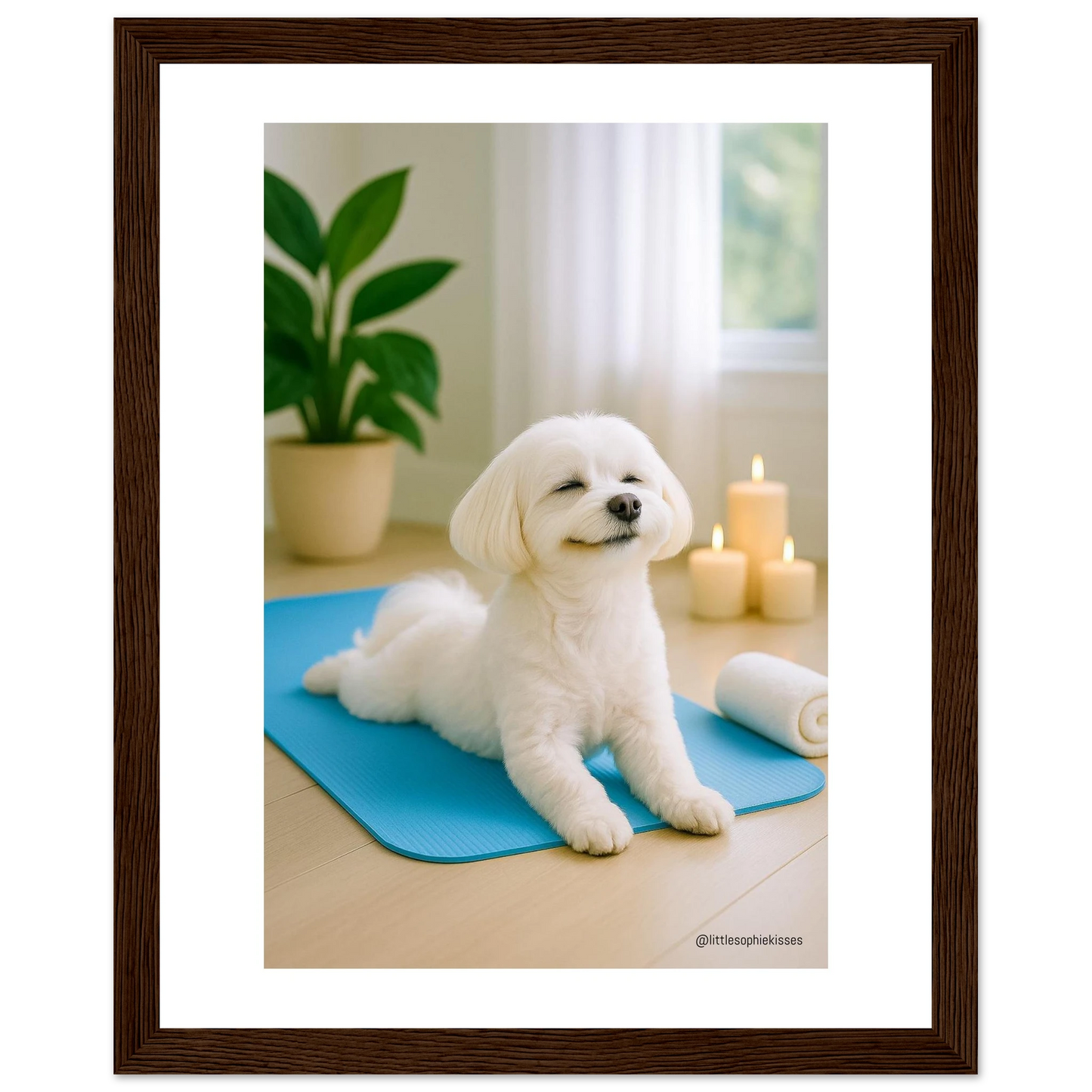 9bee4148-5fc1-4a00-8096-6651c0bf231e