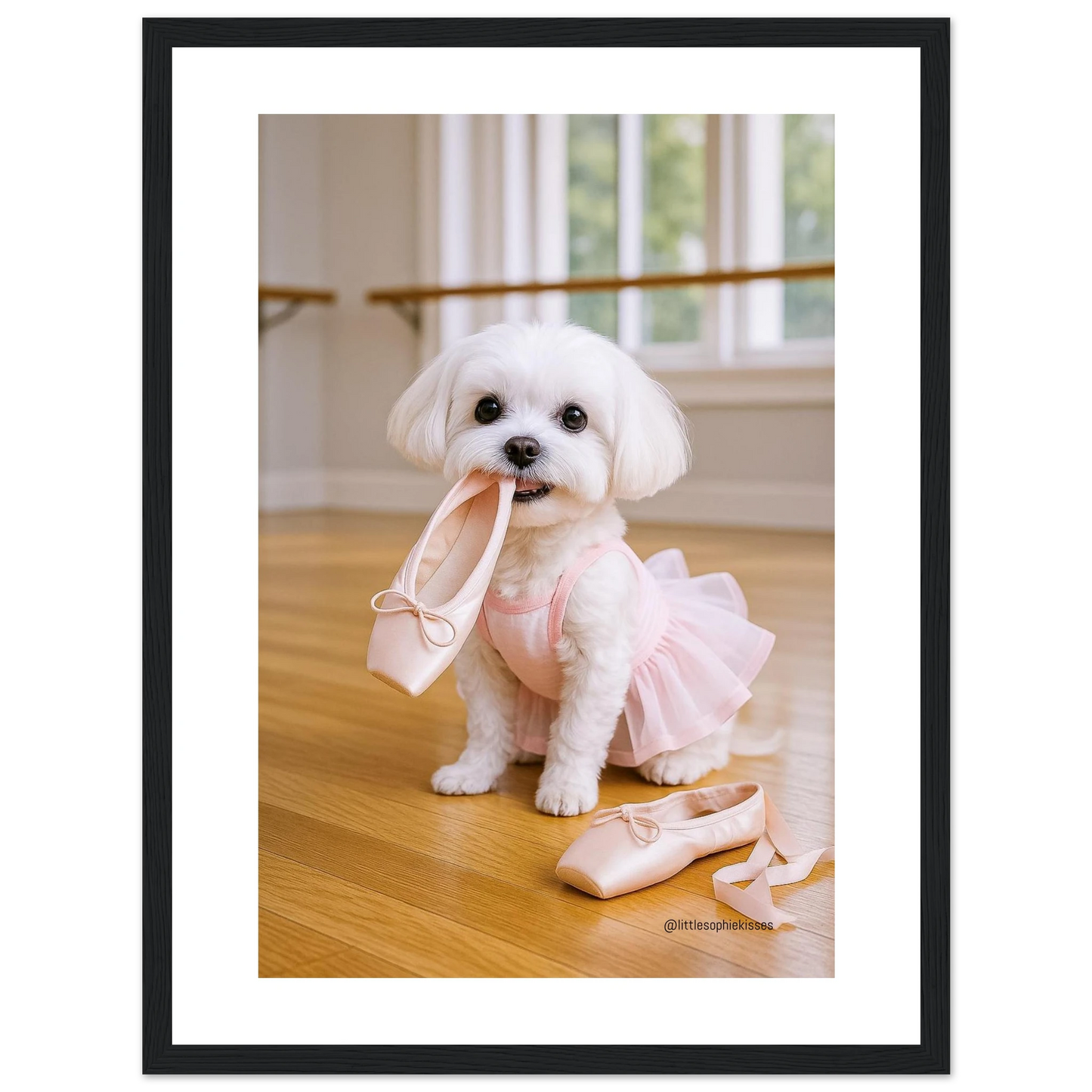 9d2a6457-48db-4306-89a5-5519420cd3c7