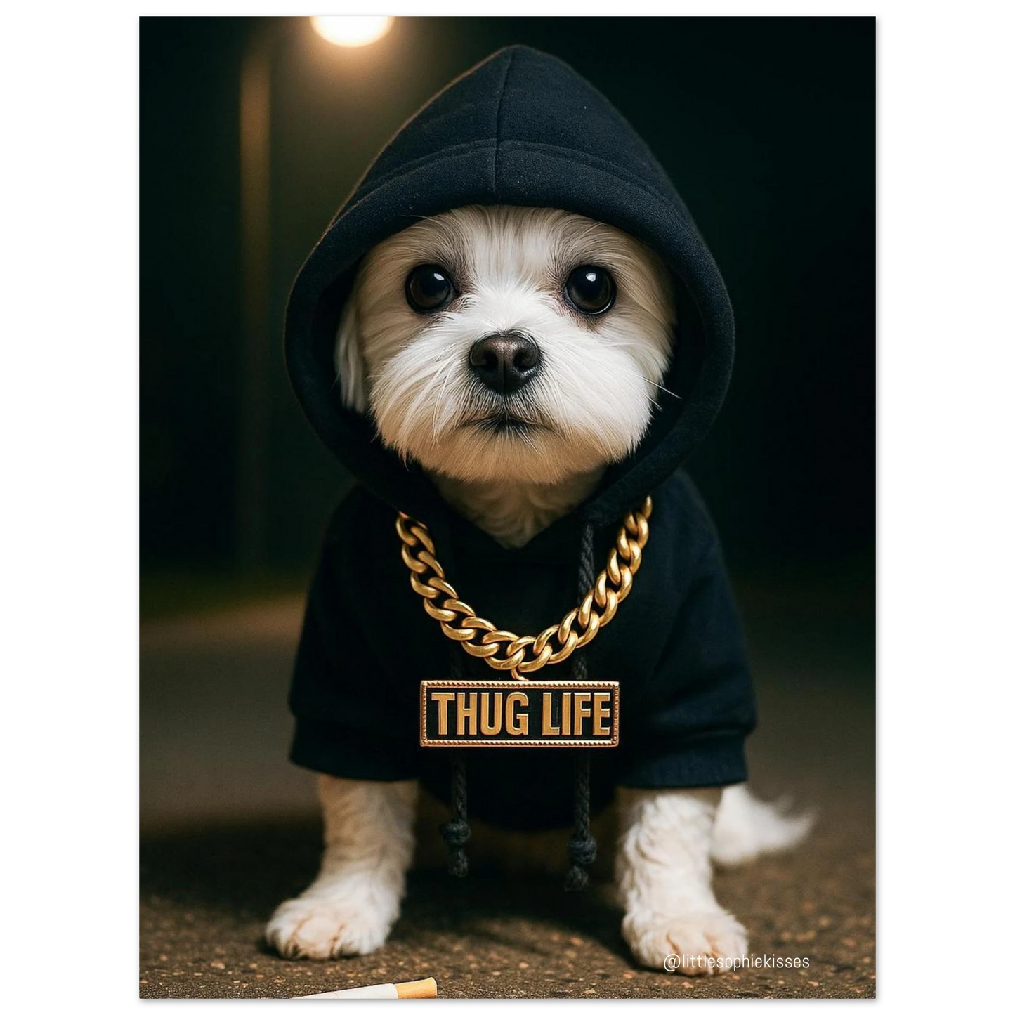 a148d505-3201-4394-ad60-d553293922bc