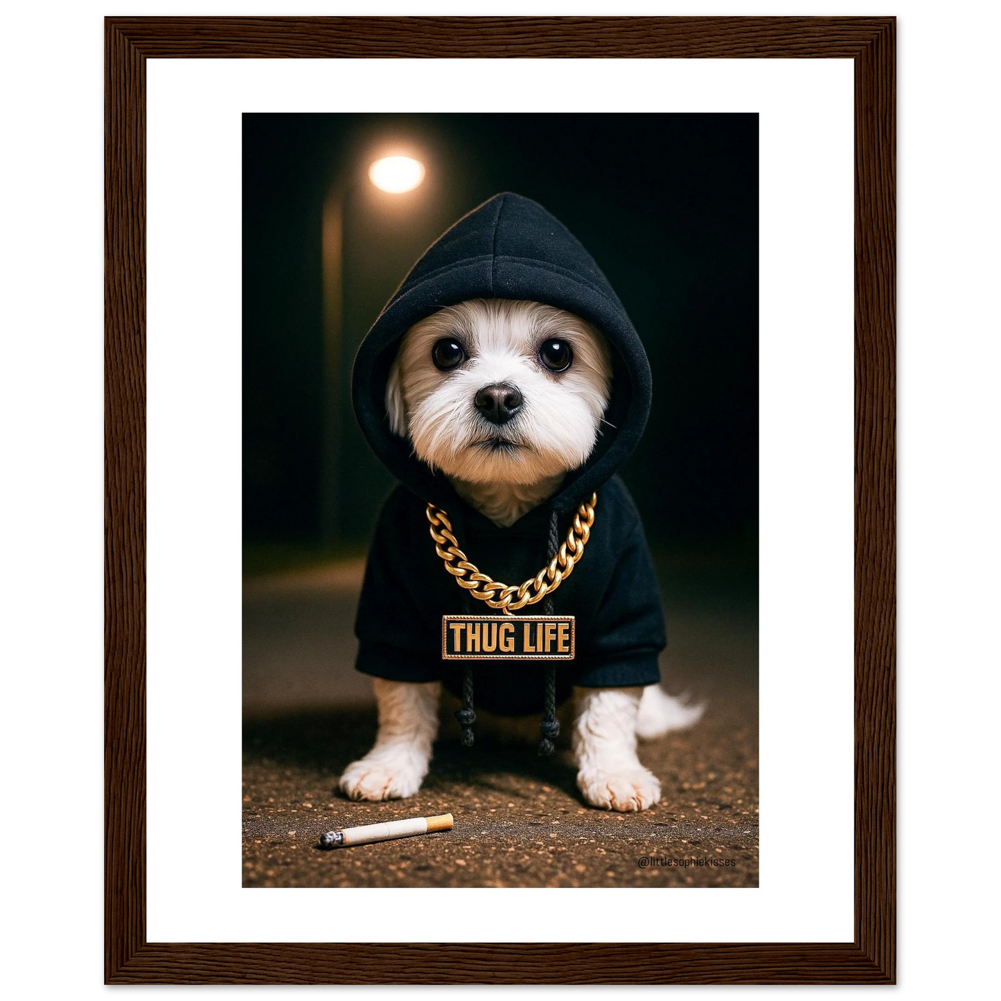 a30344b8-9f7e-42b8-9b83-aedb09834e6f